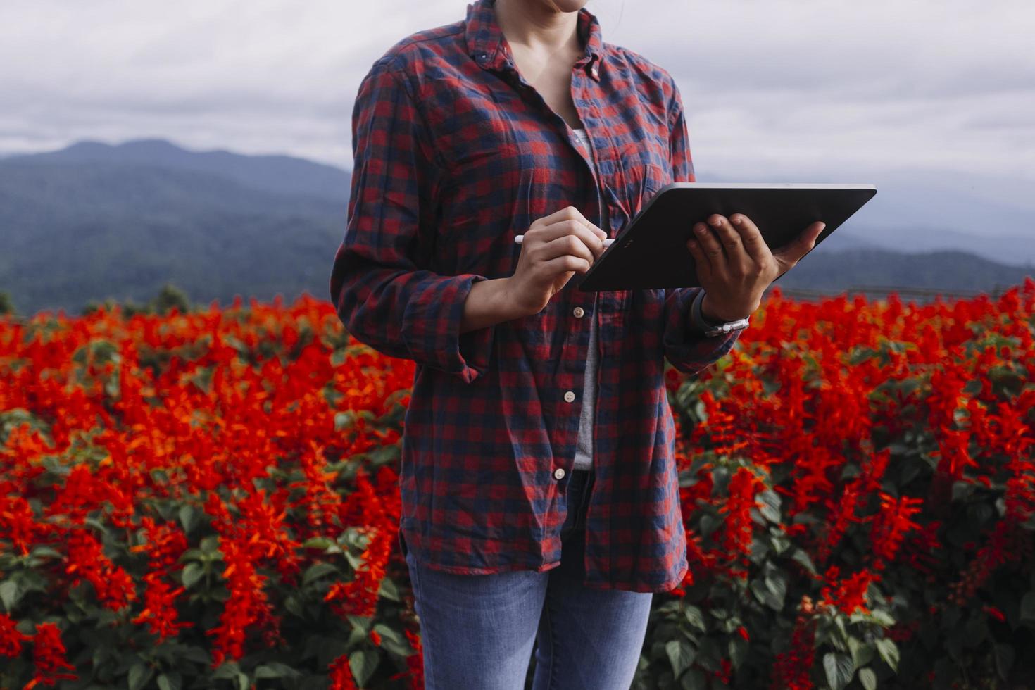landwirtschaftstechnologie bäuerin mit tablet- oder tablet-technologie, um über landwirtschaftliche probleme zu recherchieren, analysedaten und visuelle symbole. foto