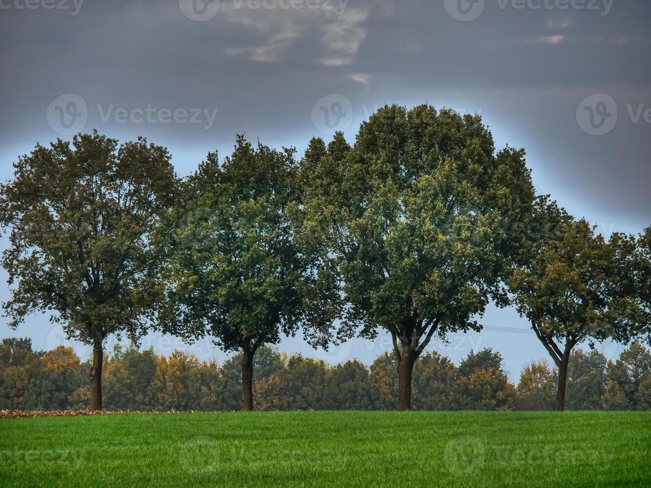 Herbstzeit in Westfalen foto