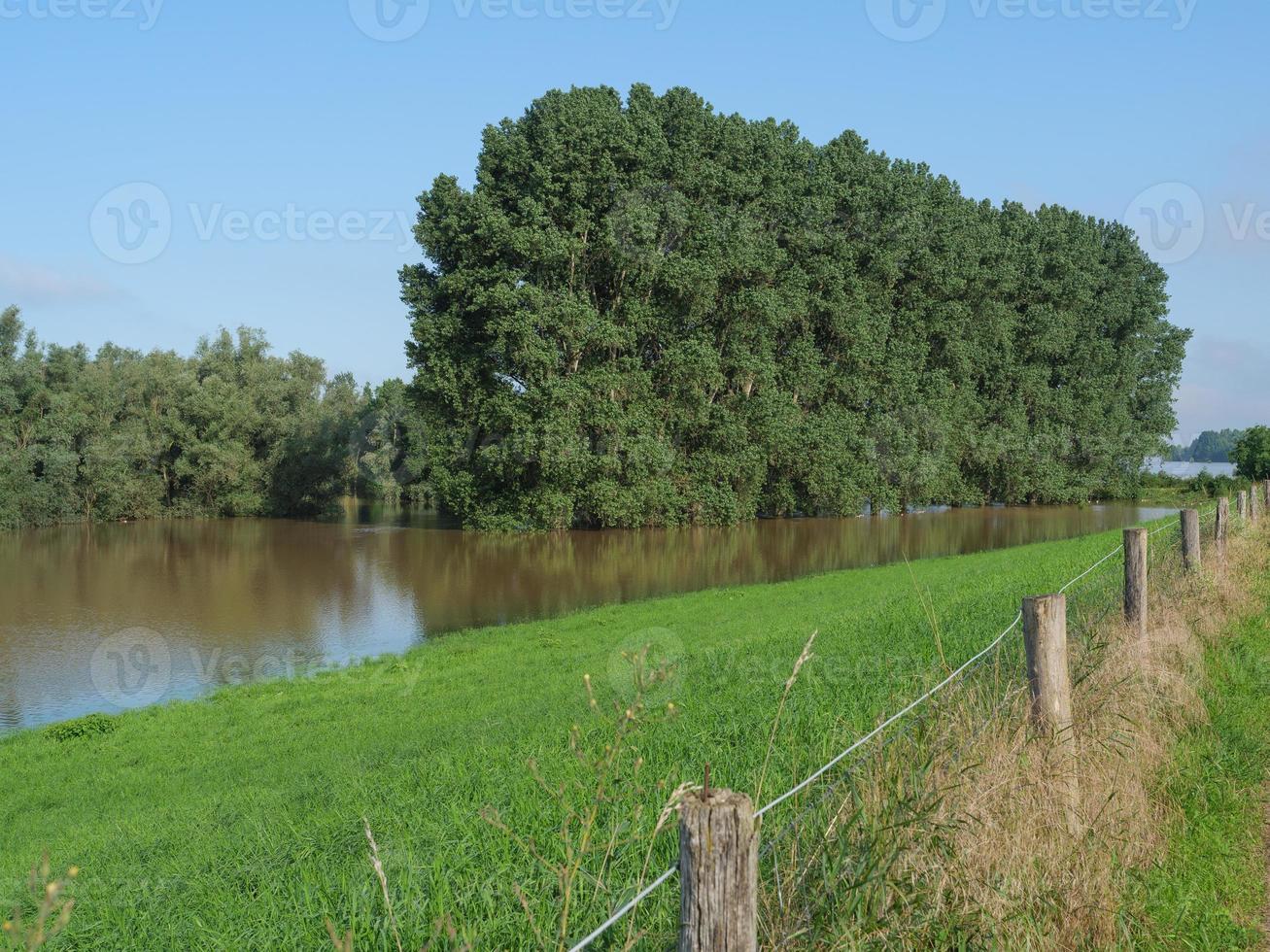 der rhein bei bislich foto