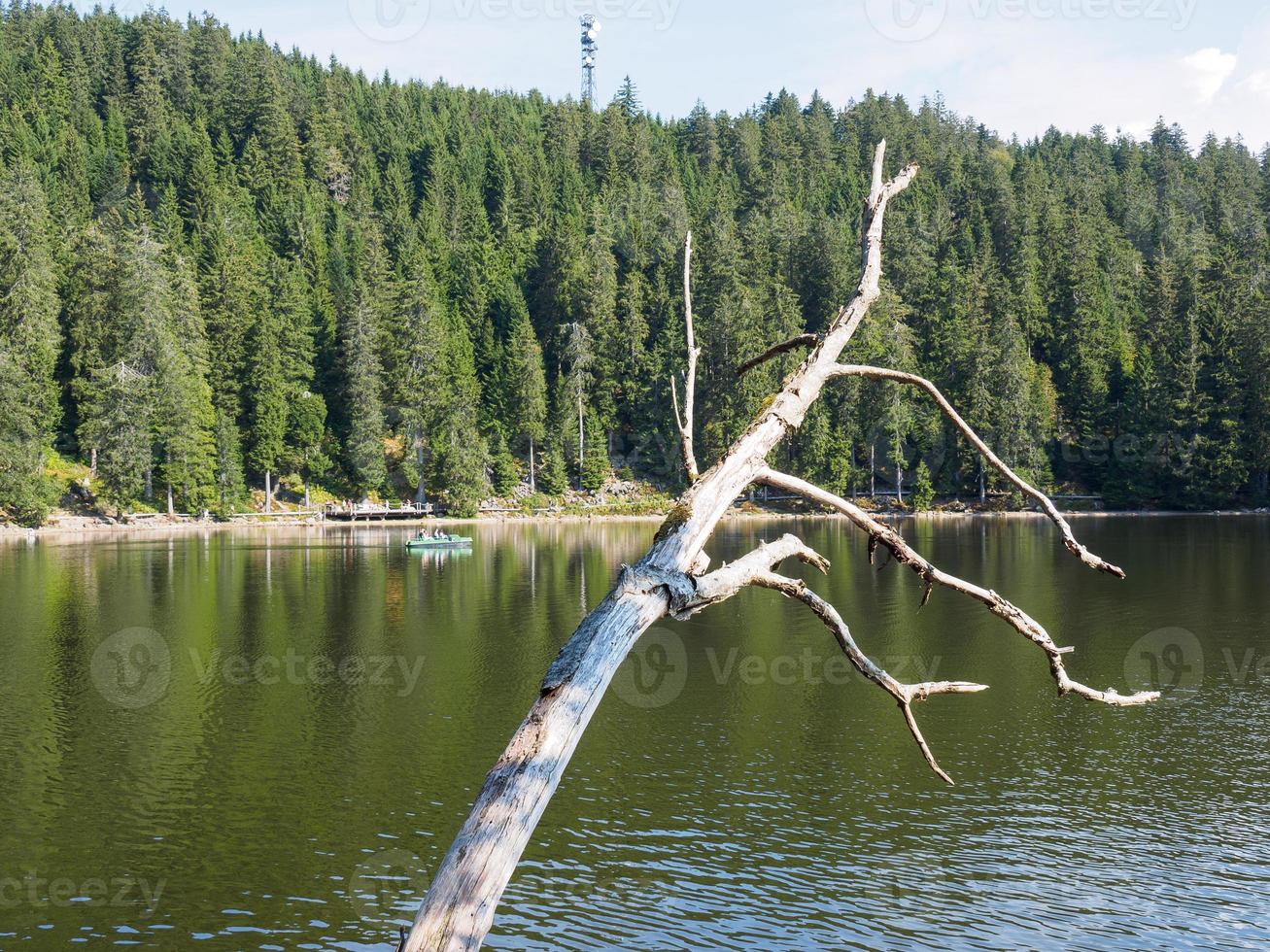 Der Schwarzwald in Deutschland foto