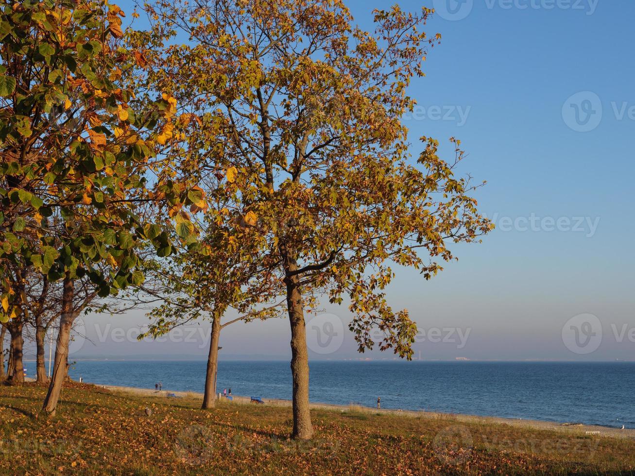 der Strand von Binz an der Ostsee foto