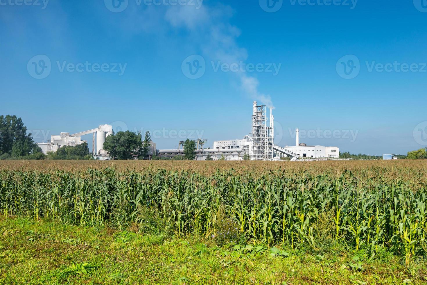 industrielandschaft umweltverschmutzung abfall der zementfabrik. große Rohre der Industrieunternehmensanlage. mit Kalk und Kreide beschichtete Fabrikrohre foto