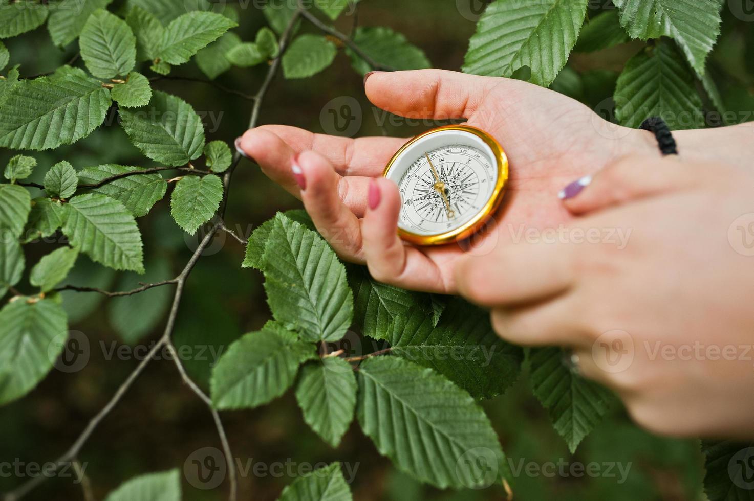 Nahaufnahme von weiblichen Händen mit Kompass neben einem Ast. foto