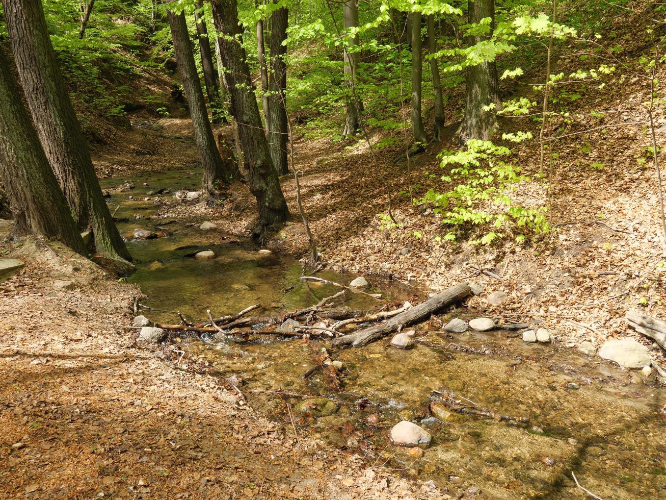 an der Ostsee in Polen foto