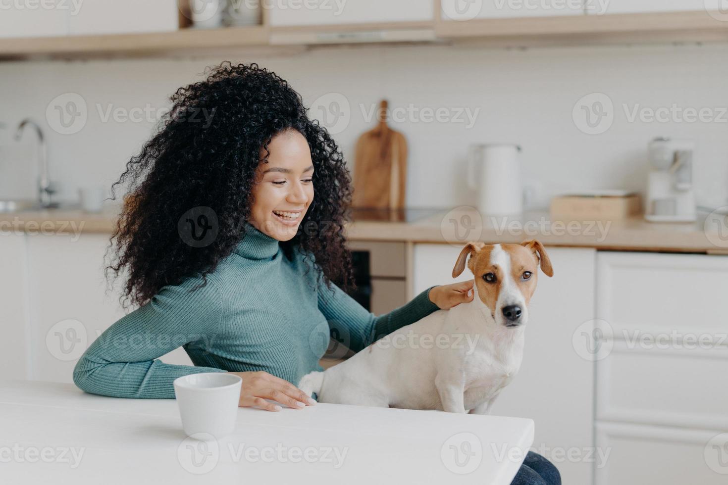 Verspielte Frau mit Afro-Frisur, streichelt ihren Rassehund, hat Spaß zusammen, posiert in gemütlicher Küche, trinkt Kaffee, lacht glücklich. junge lockige dame, die froh ist, mit haustier zu leben, genießt häusliche atmosphäre. foto