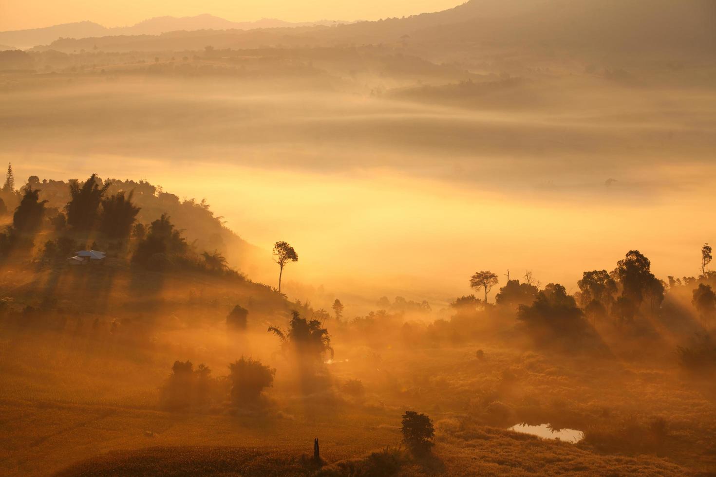 Sonnenaufgang am nebligen Morgen in Khao Takhian Ngo View Point in Khao-Kho Phetchabun, Thailand foto