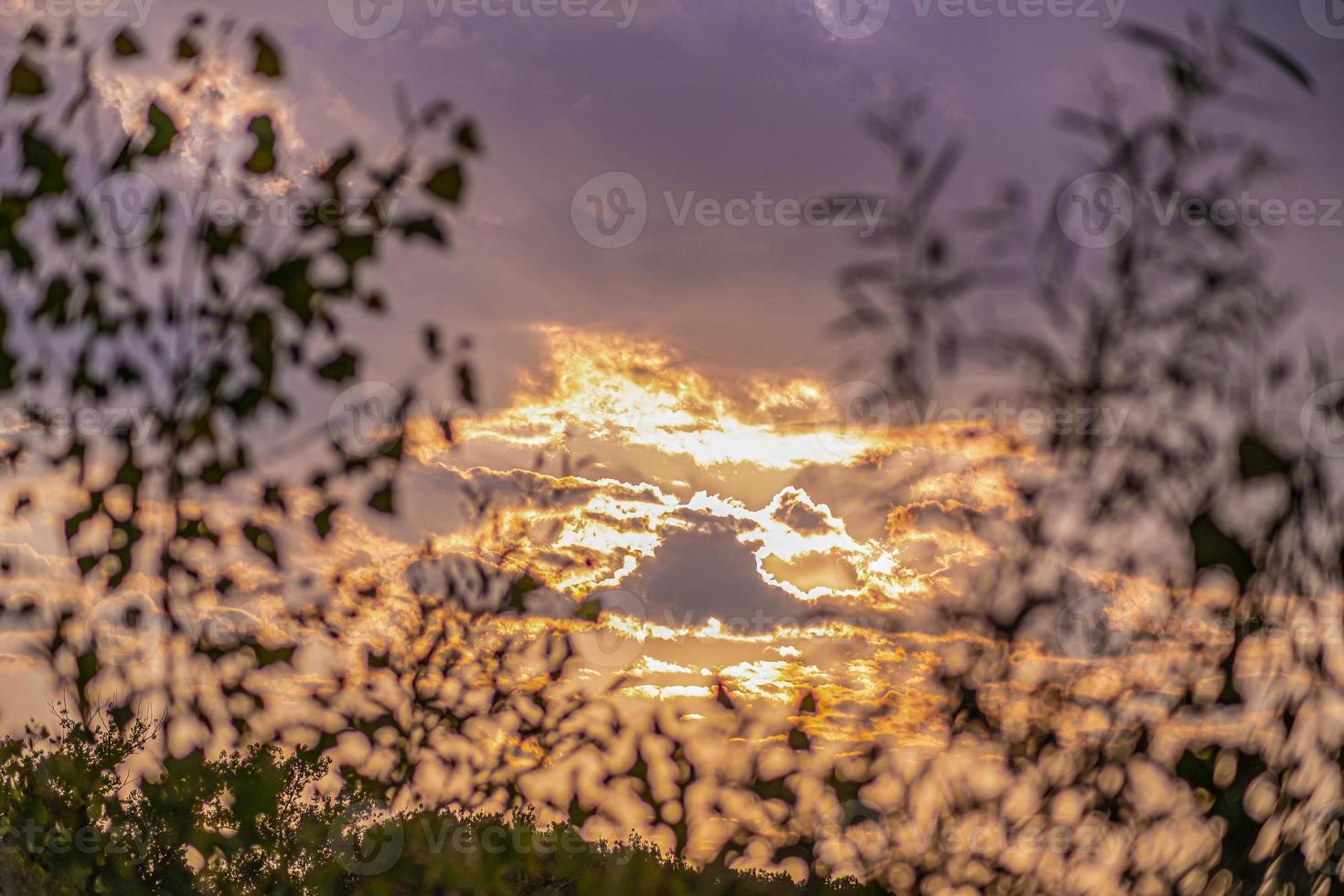 sonnenschein oder sonnenuntergang in der goldenen stunde des parks foto