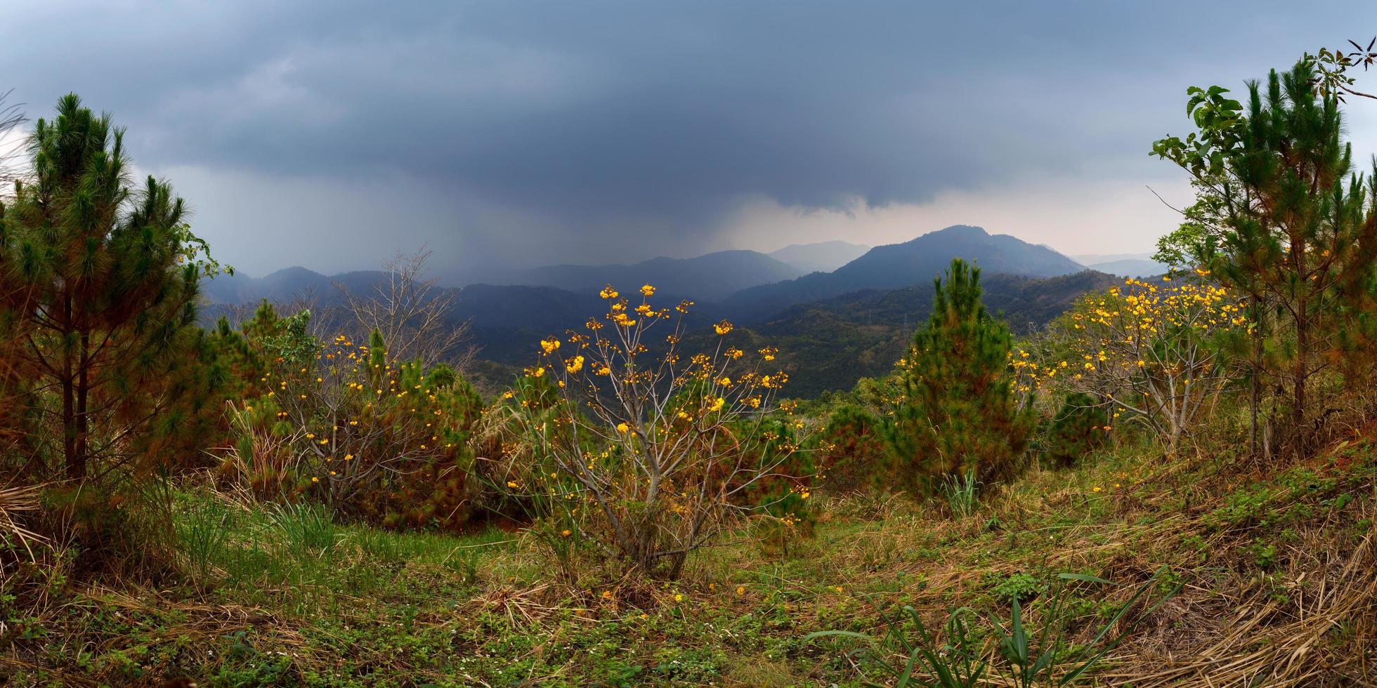 Panoramaberge mit bewölktem Himmel vor Regen in Khao Kho Phetchabun, Thailand foto