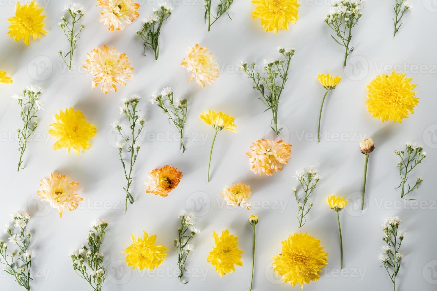 chrysanthemen- und schneiderblumenzusammensetzung. Muster und Rahmen aus verschiedenen gelben oder orangefarbenen Blumen und grünen Blättern auf weißem Hintergrund. flache Lage, Draufsicht, Kopierraum, Frühling, Sommerkonzept. foto