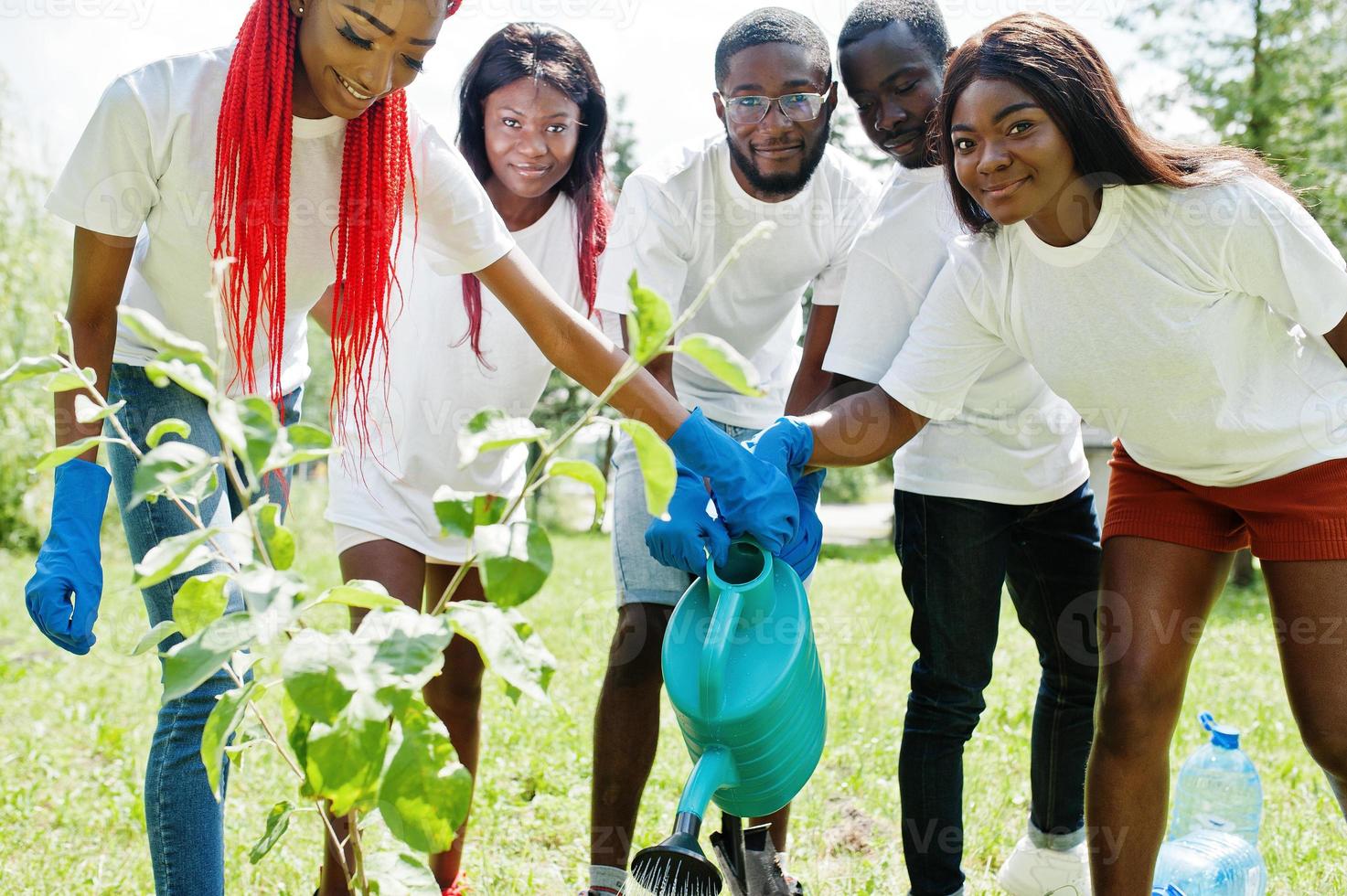 Gruppe glücklicher afrikanischer Freiwilliger sprießen bewässert von einem Gießkannenbaum im Park. afrika-freiwilligenarbeit, wohltätigkeit, menschen und ökologiekonzept. foto