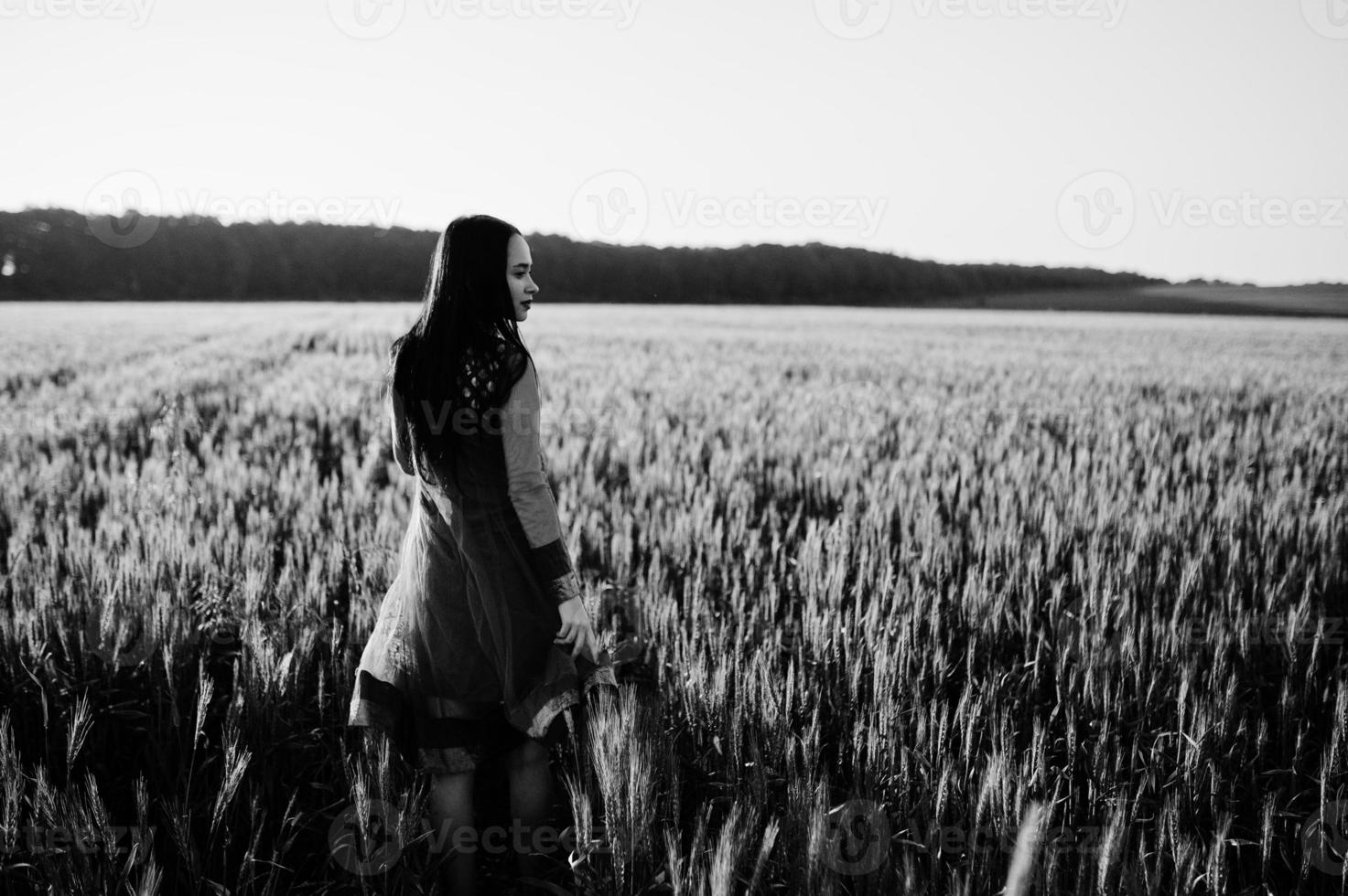 zartes indisches mädchen im saree, mit violetten lippen, die bei sonnenuntergang auf dem feld posierten. modisches Indien-Modell. foto