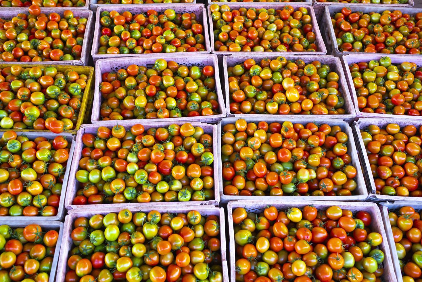 Tomatenkisten enthalten Produkte für den Export in asiatische Märkte. foto