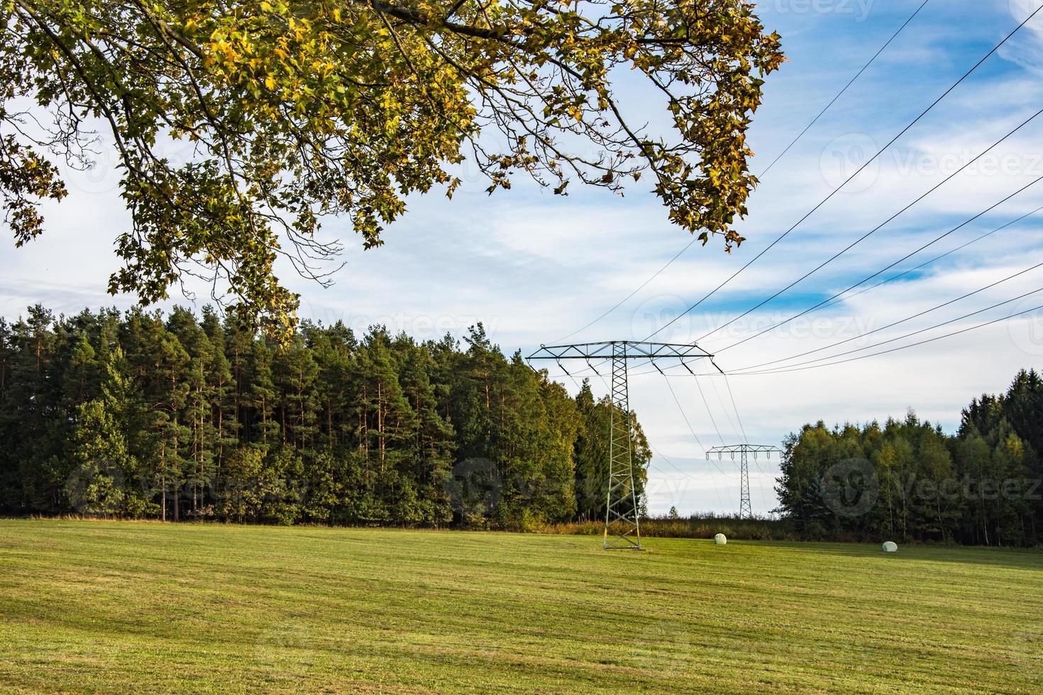 Stromleitungen durch grüne Landschaft foto