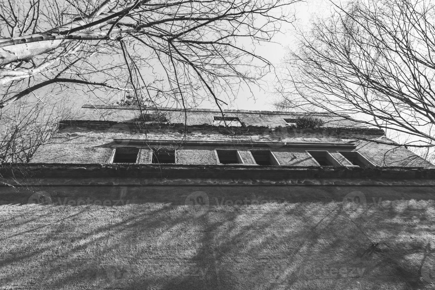 Ruine im Wald in Schwarz und Weiß foto