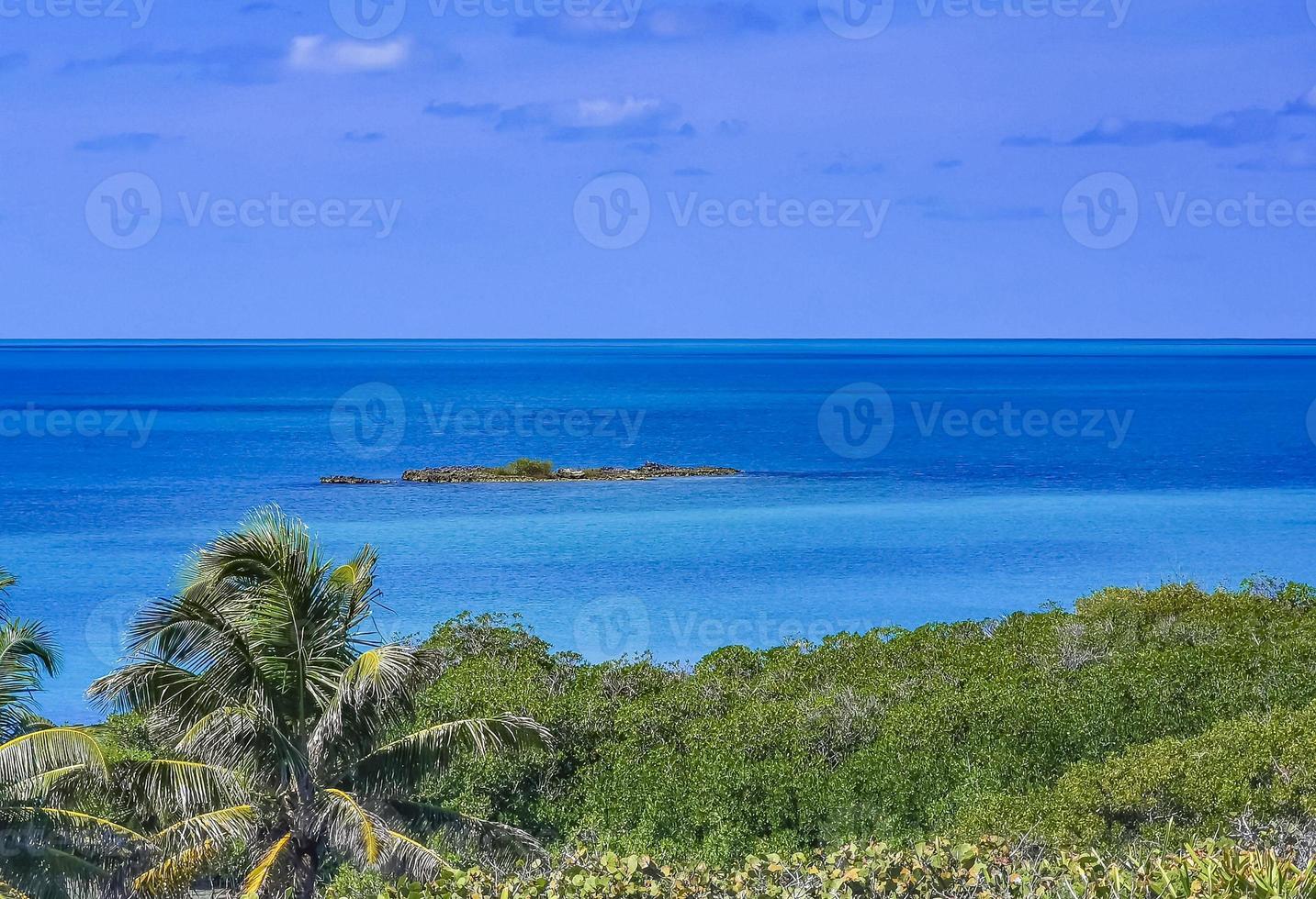 schöner tropischer naturstrand und waldpanorama contoy island mexiko. foto