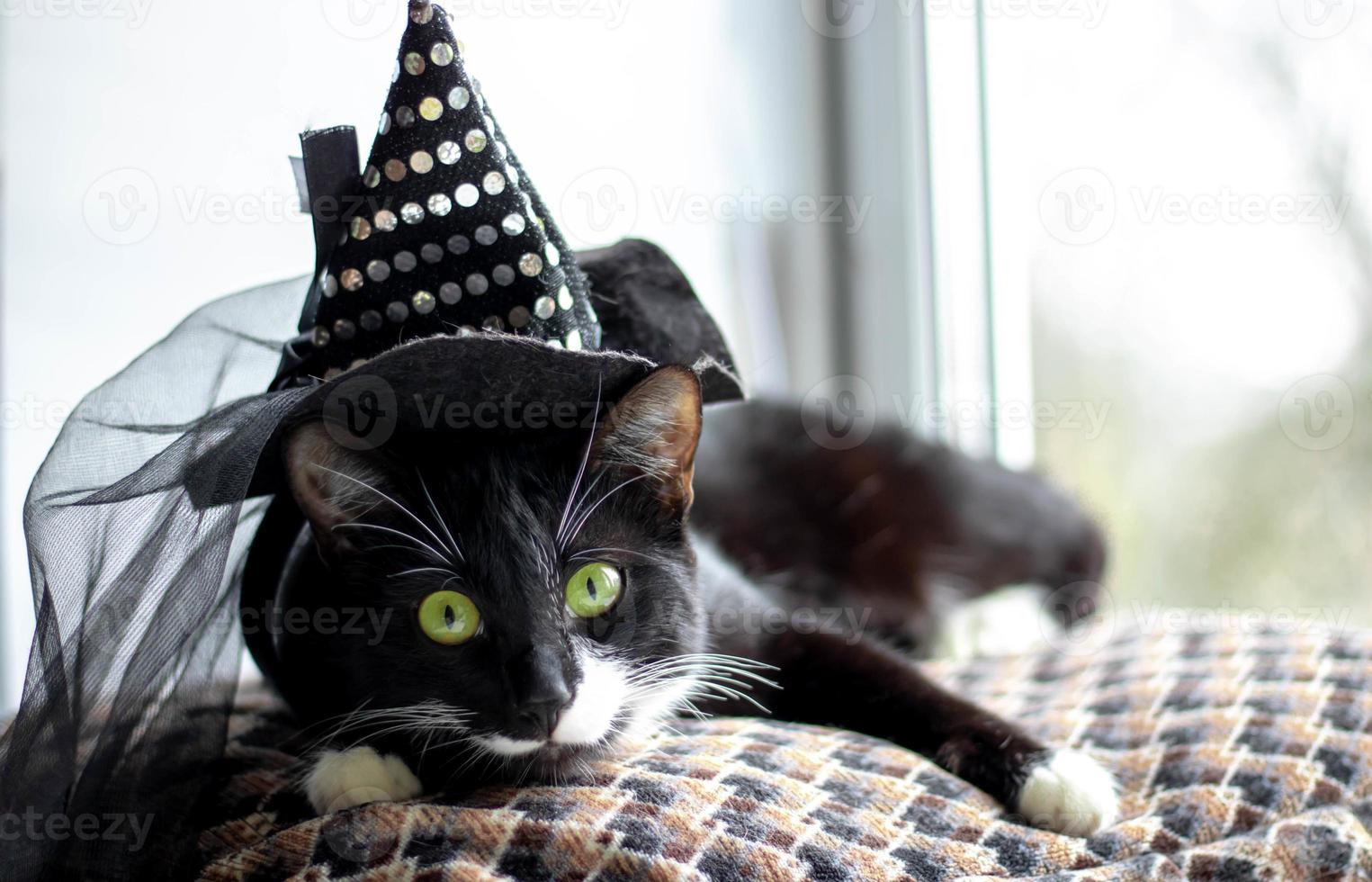 schwarze katze mit hexenhut für halloween. isoliert auf weißem Hintergrund foto