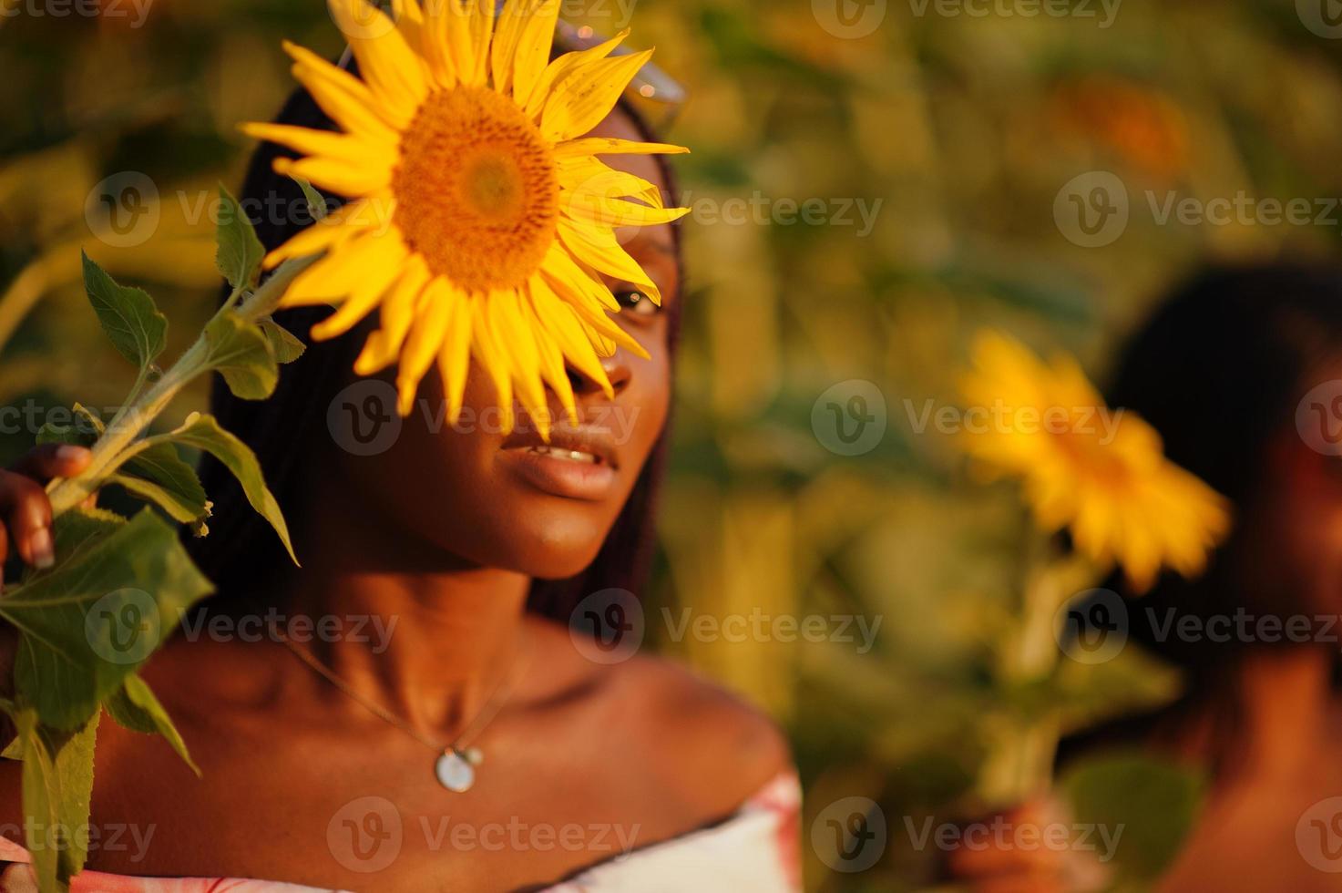 zwei hübsche junge schwarze Freunde Frau tragen Sommerkleid Pose in einem Sonnenblumenfeld. foto