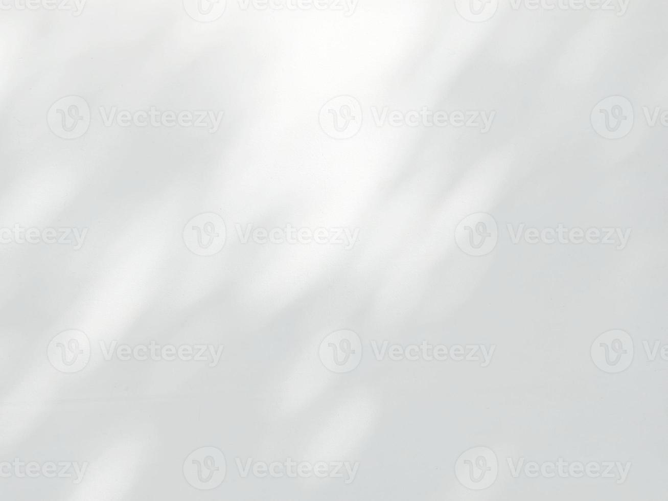 abstrakter schatten der blätter auf einem weißen wandhintergrund foto