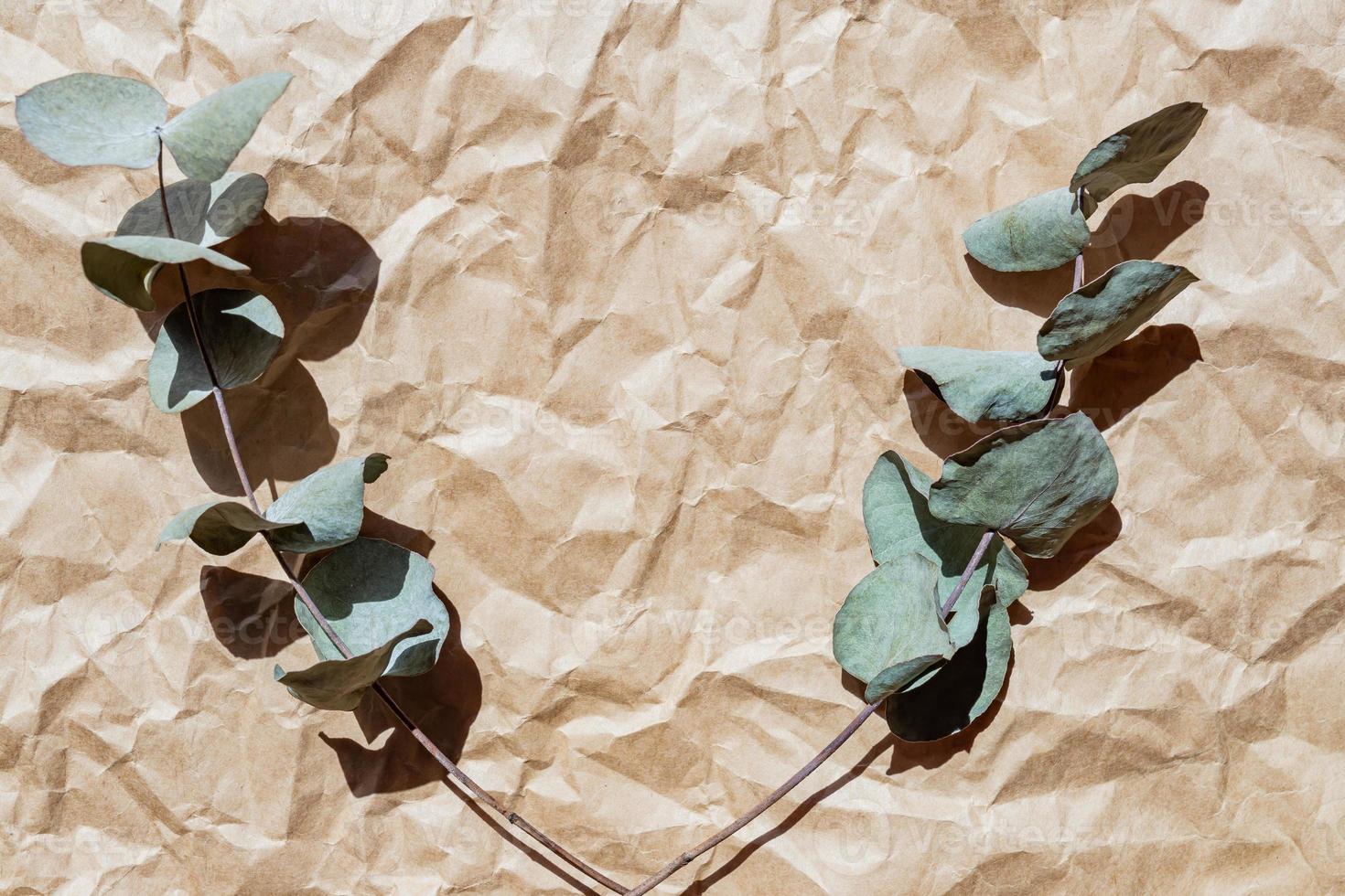 kranzrahmen aus zweigen eukalyptus und blättern auf papierhandwerkshintergrund. flach liegen, Ansicht von oben. Öko-Stil, wiederverwendbare Materialien foto