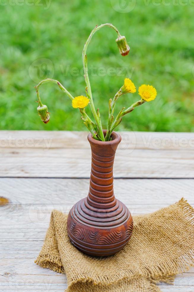 frisch geschnittene gelbe Huflattichblumen in Tonvase auf Holztisch im Freien. rustikaler Stil. foto