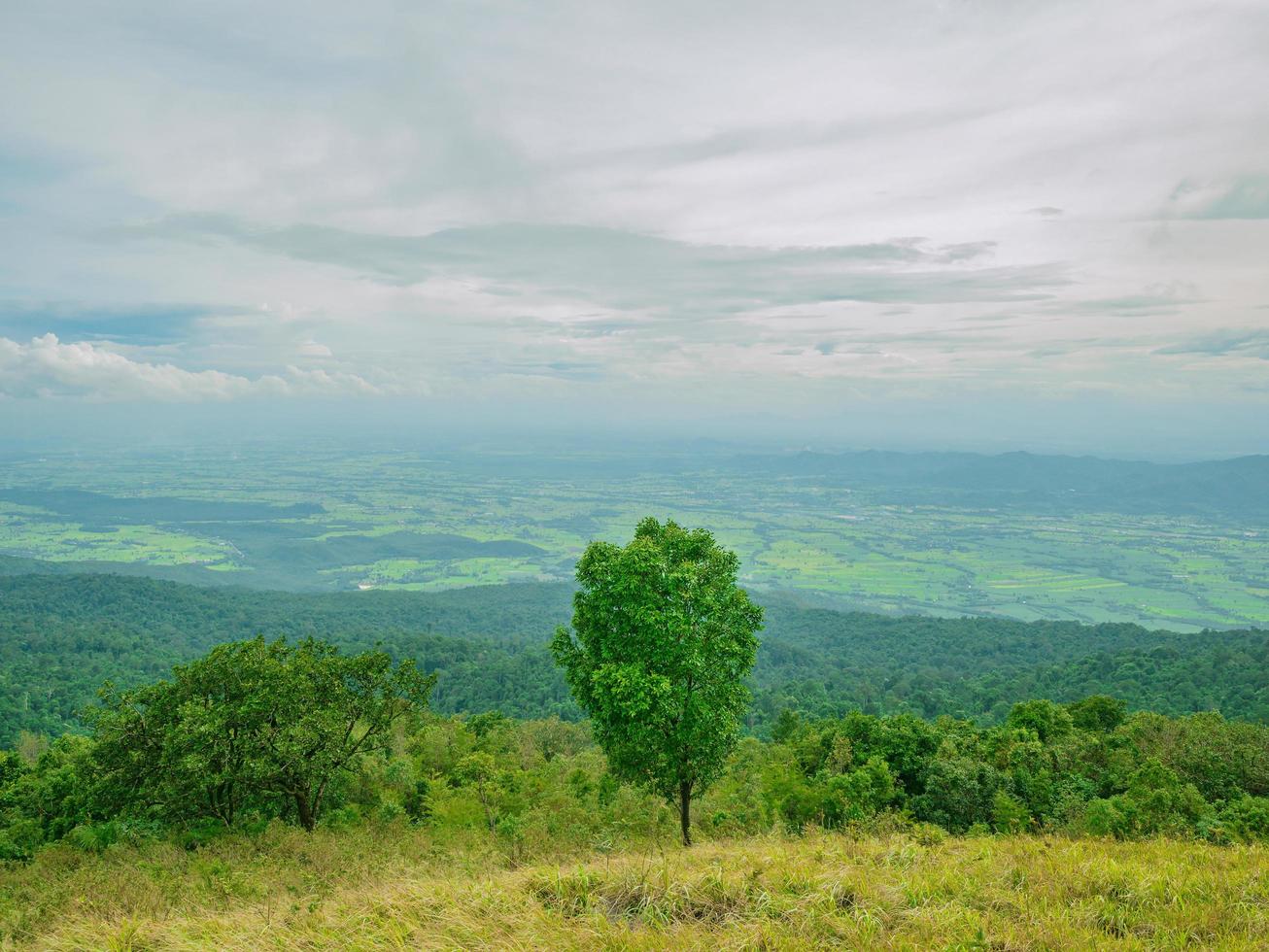 ein baum- und wolkenhimmelblick auf khao luang berg im ramkhamhaeng nationalpark, provinz sukhothai thailand foto