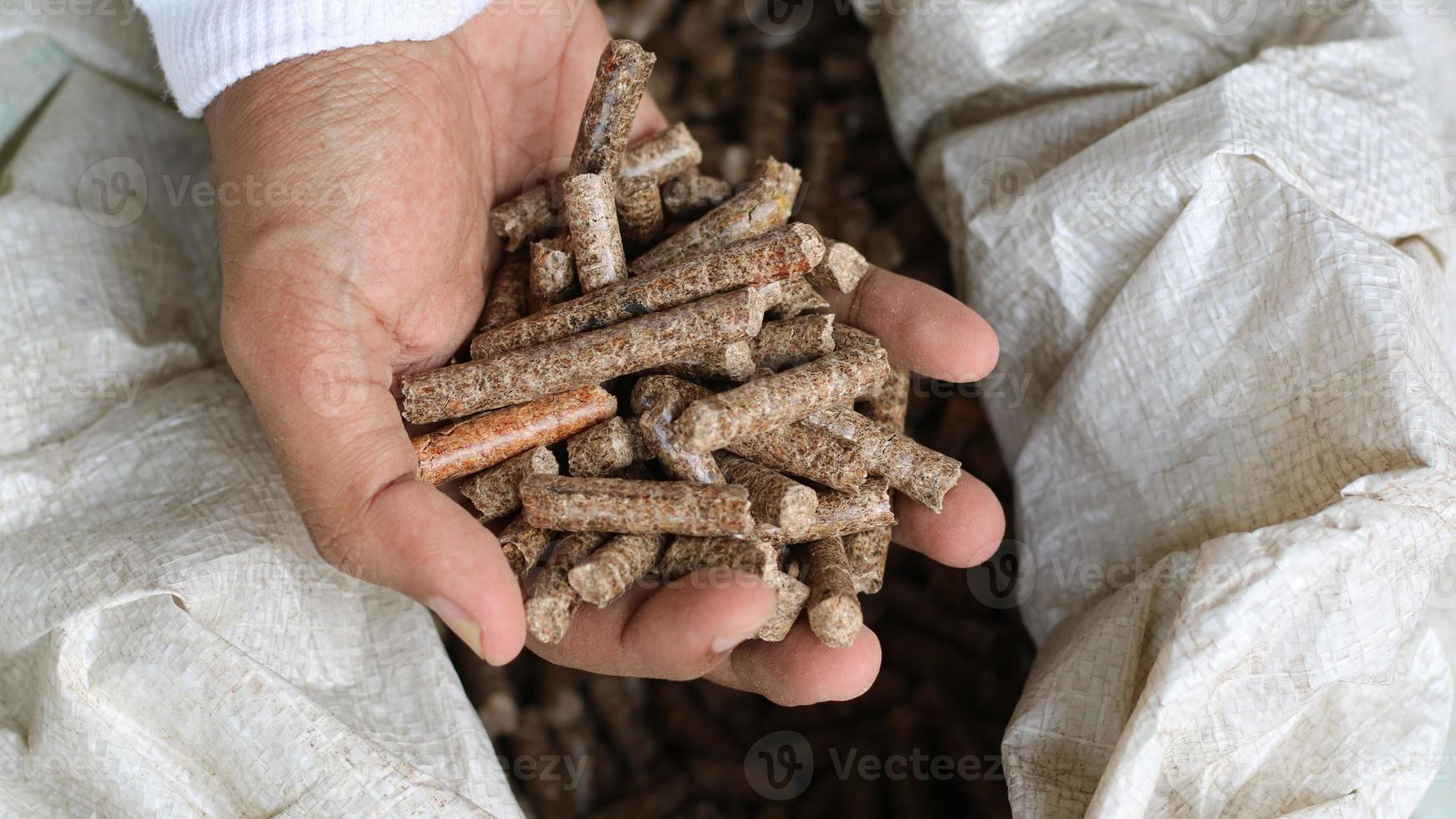 Hand eines erwachsenen Mannes, der ein Holzpellet hält foto