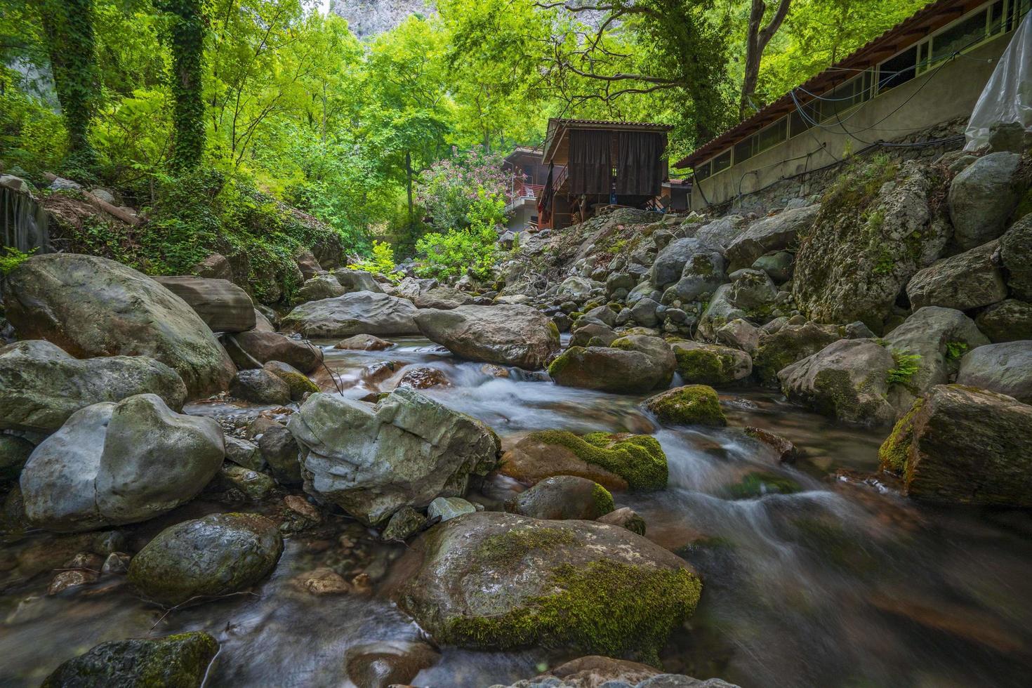 berg fluss strom wasserfall grün wald landschaft natur pflanze baum regenwald dschungel foto