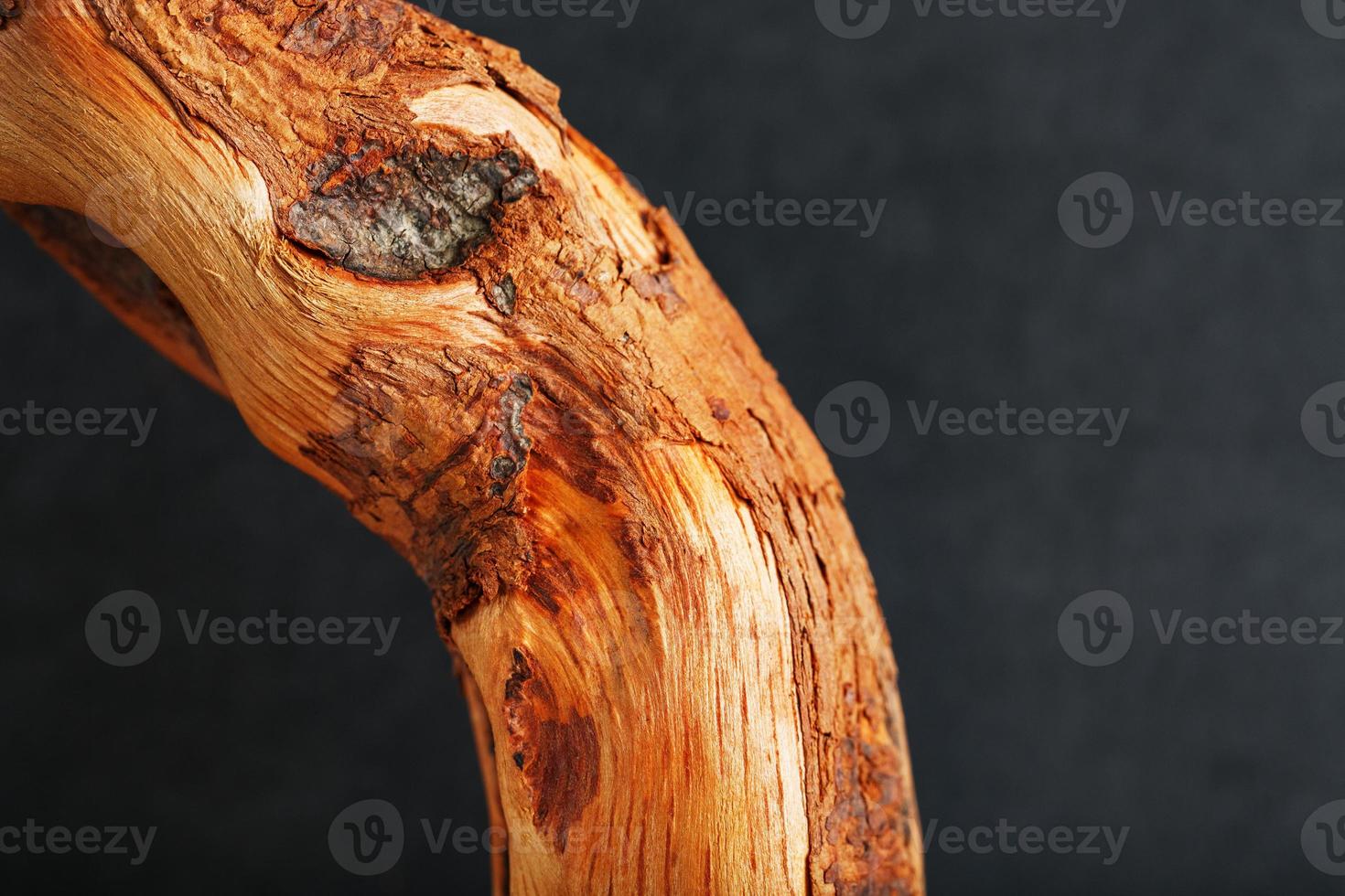 Natürliche Bonsai-Snag-Stamm-Nahaufnahme-Holzstruktur foto