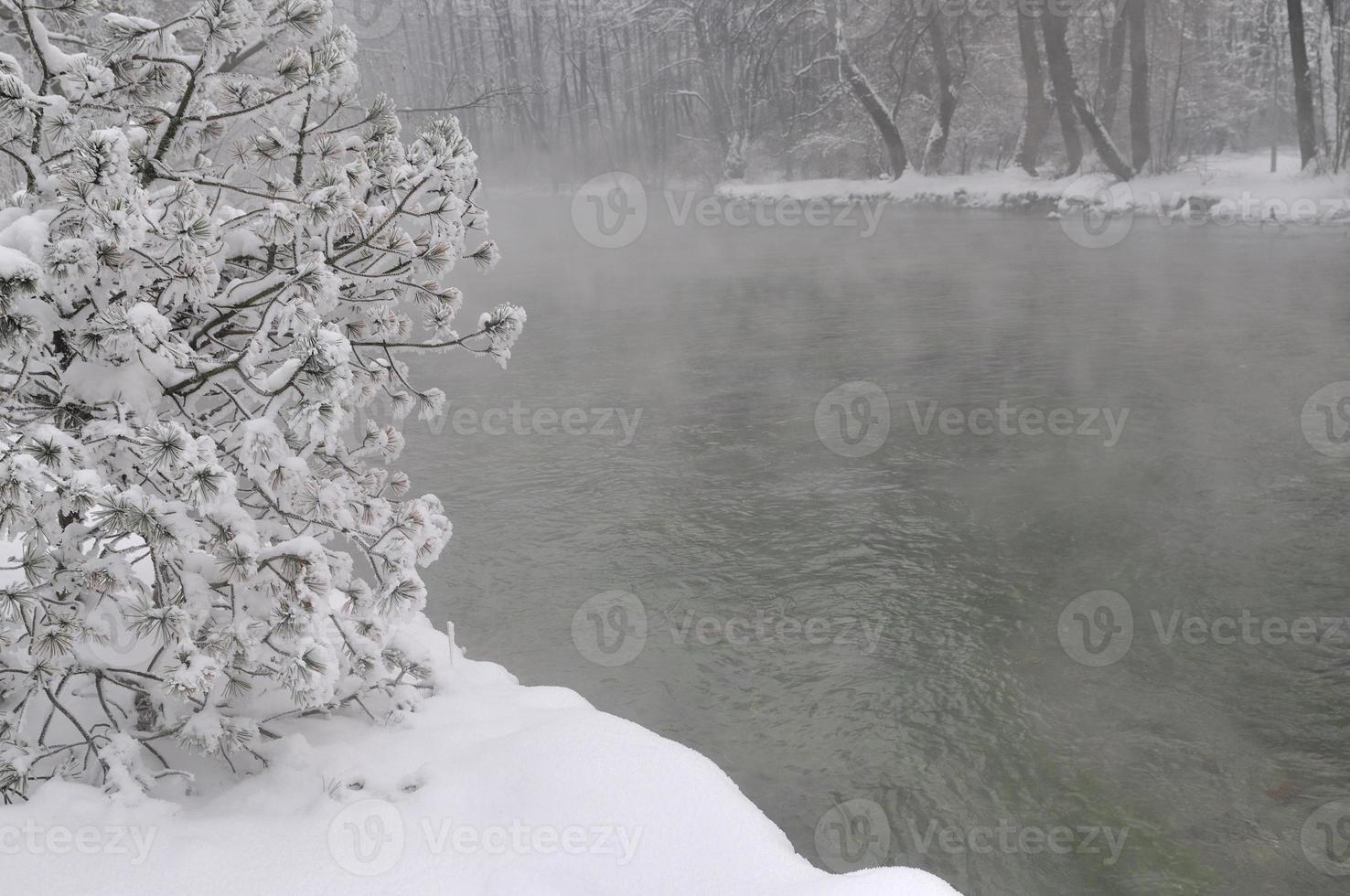 am frühen Morgen am schönen Wintertag foto