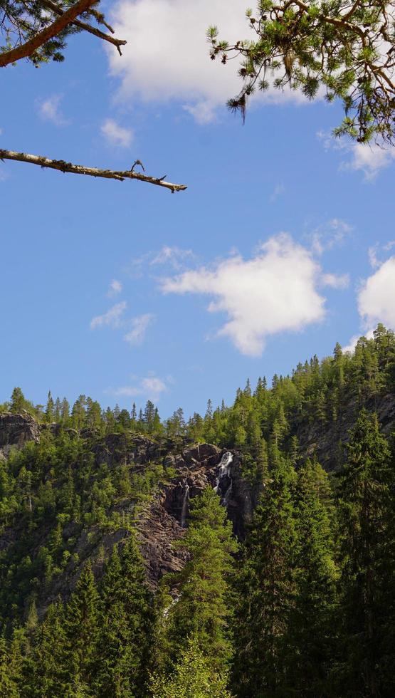 Landschaft des Naturwaldes mit blauen Wolken am Himmel foto