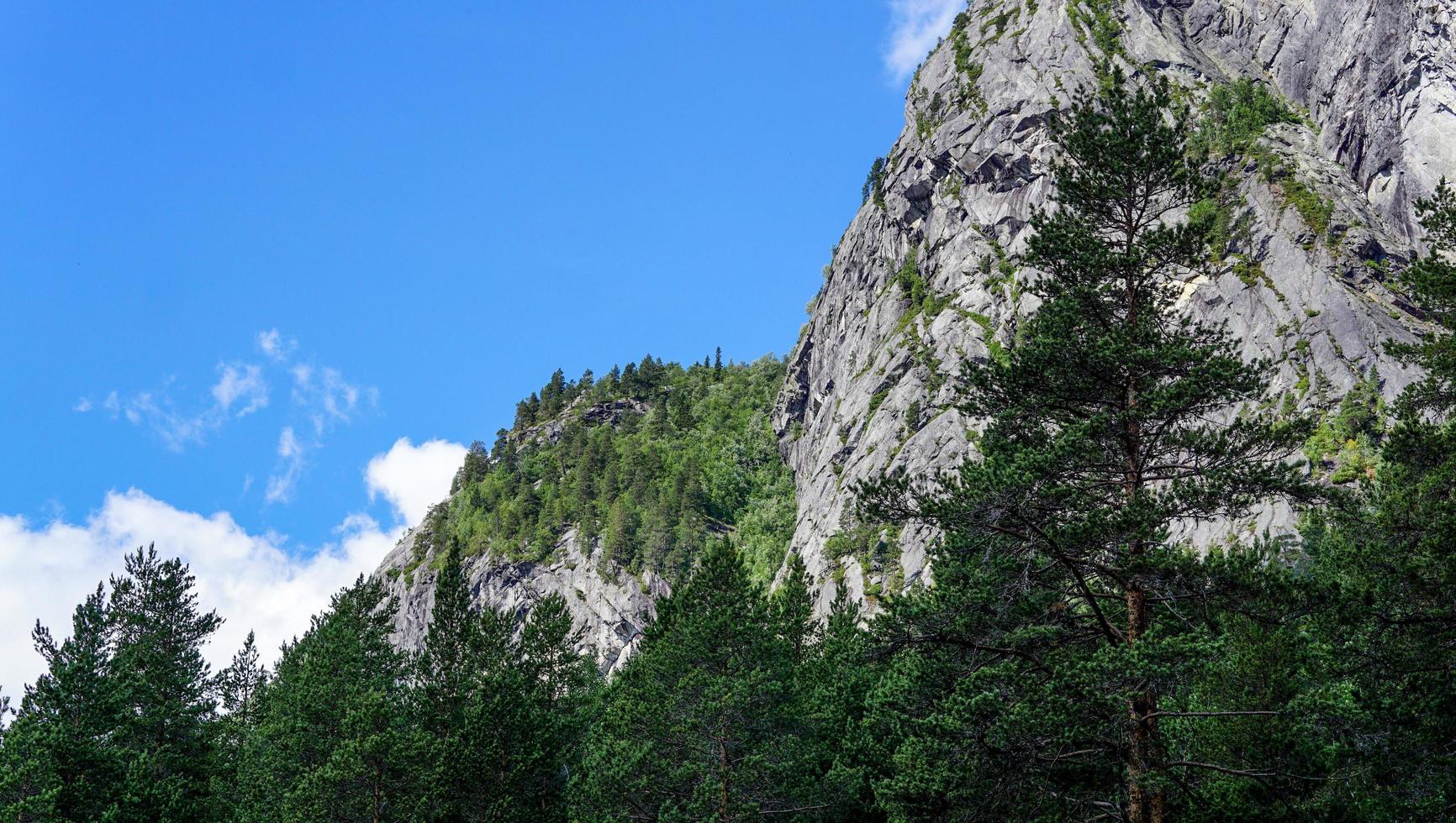 ig Hügel versteckt hinter frischem grünen Wald mit blauem Himmel im Hintergrund Landschaft Natur foto