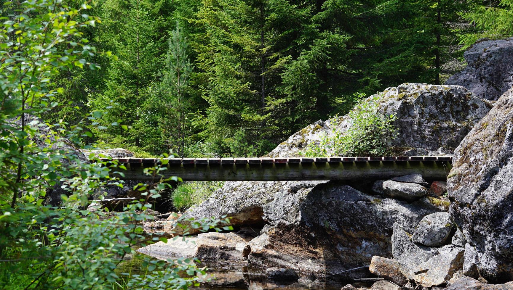 Schöne versteckte alte Brücke in der norwegischen Natur mit hohen grünen Bäumen und einem kleinen Fluss, der unter dem Felsen fließt foto