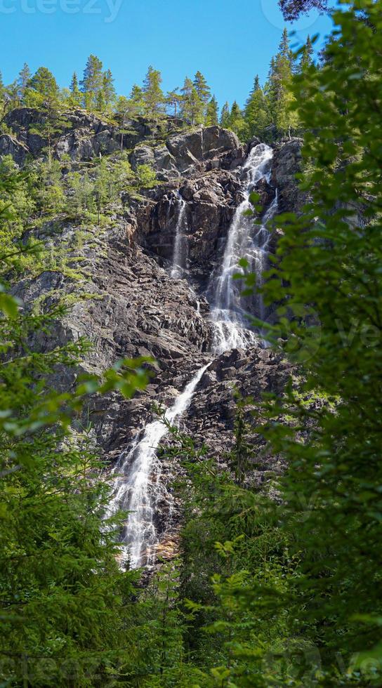 Versteckter schöner Wasserfall im tiefen Wald von Norwegen Landschaftsabdeckung mit grüner hoher kaukasischer Tanne foto