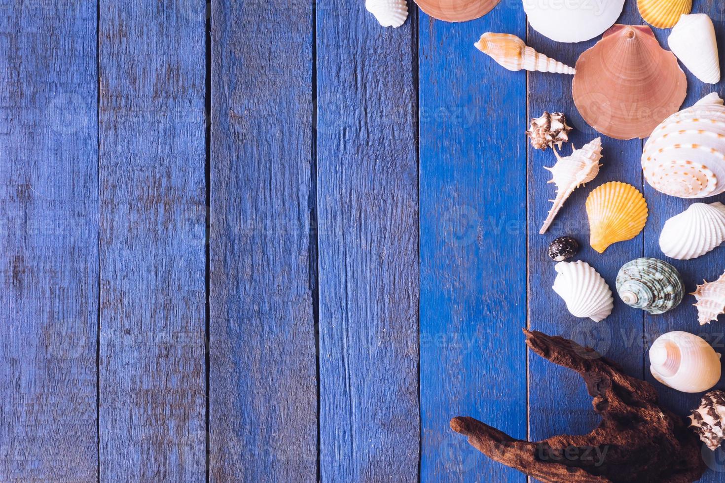 muscheln und holz auf blau lackiertem holzplankenhintergrund mit kopienraum foto