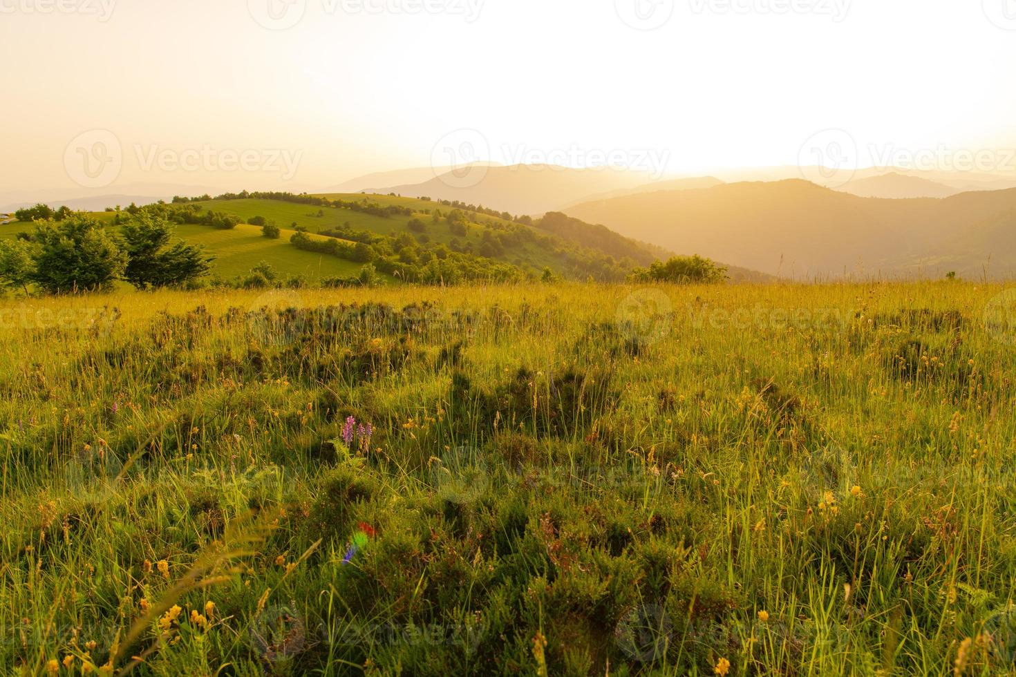 Landschaft Natur Sommer foto