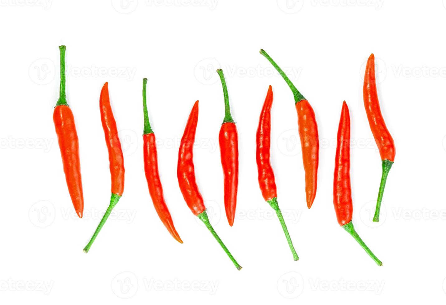 rote Chilischote isoliert auf weißem Hintergrund foto