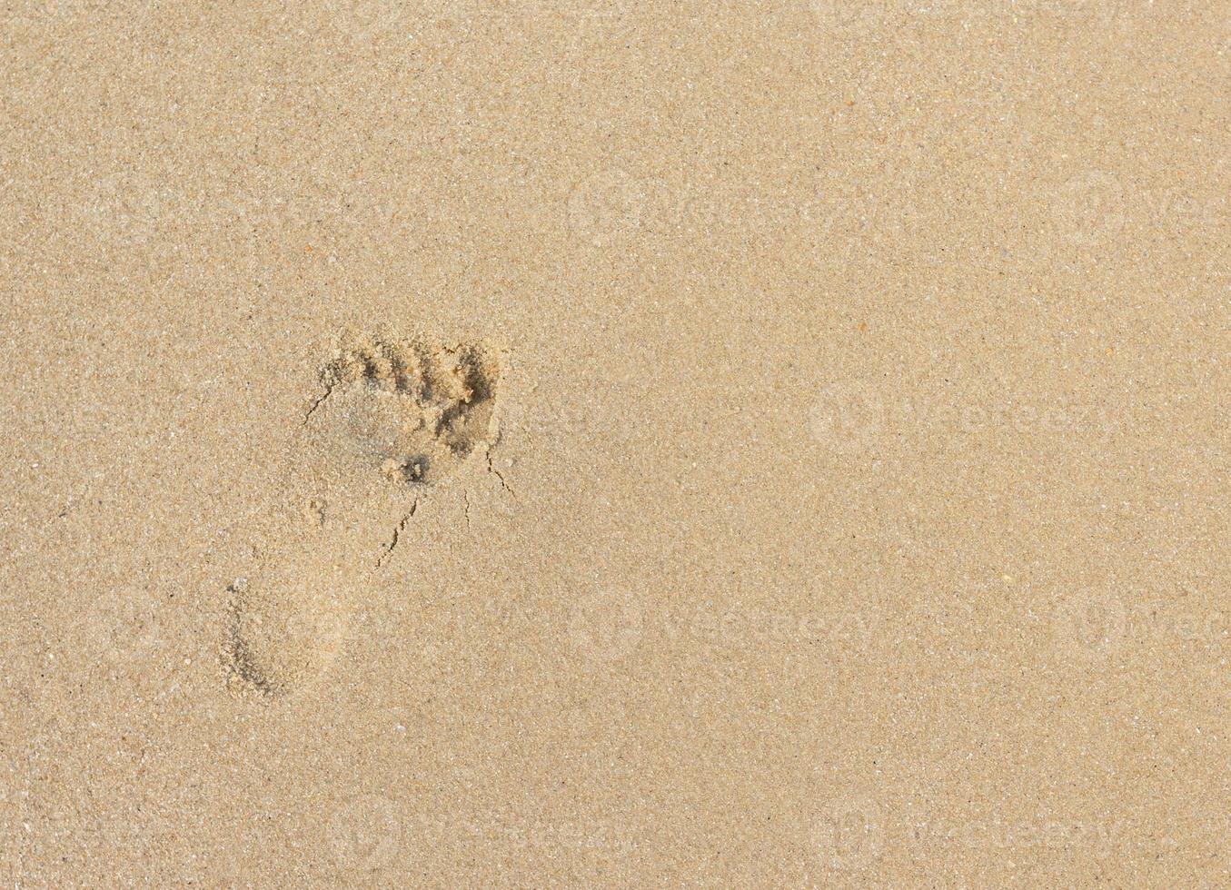 Fußspuren an einem Sandstrand foto