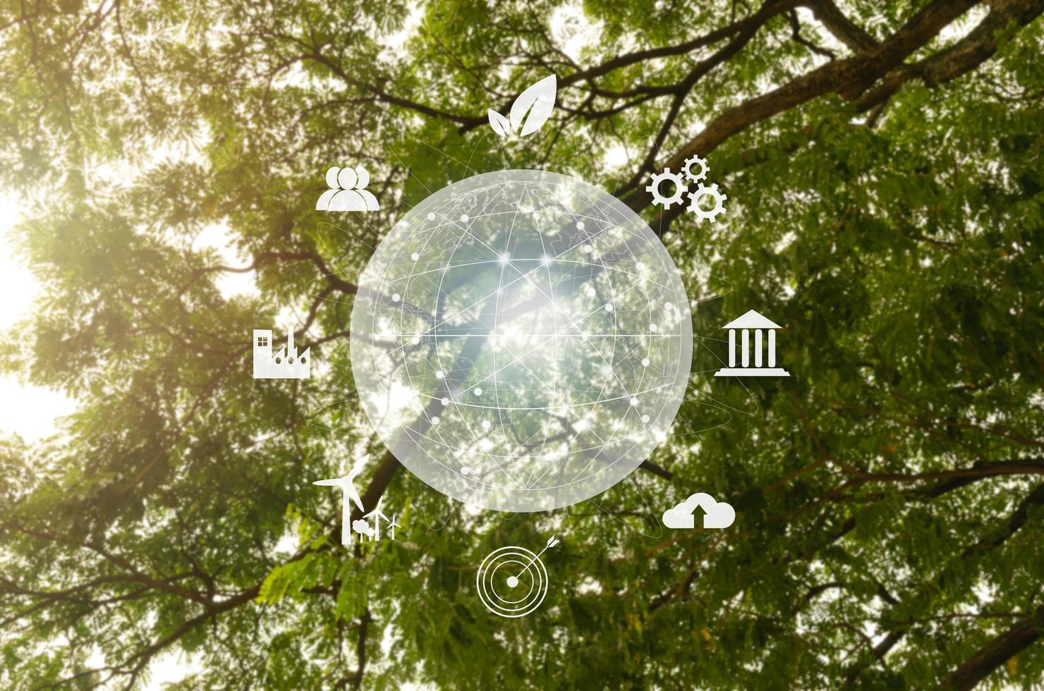 globales Symbol öko-nachhaltiges Geschäft auf Netzwerkverbindung auf grünem Baumhintergrund Umweltsymbol ESG und Netto-Null-Konzept. foto
