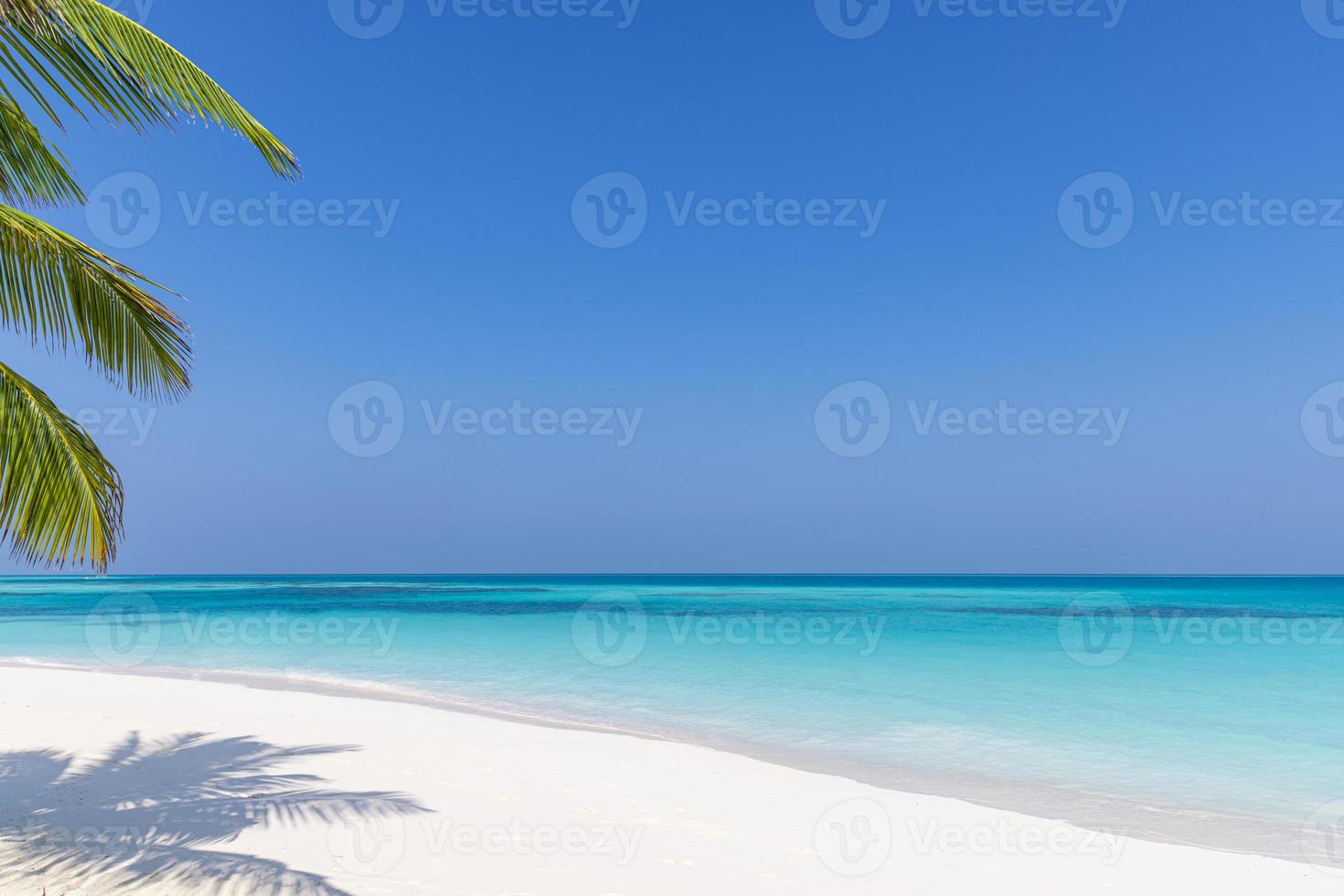 sommerstrand hintergrund palmen gegen blauer himmel banner panorama, tropisches reiseziel. weißer Sand, exotische Landschaft des blauen Meeres, erstaunlicher Sommerhintergrund foto