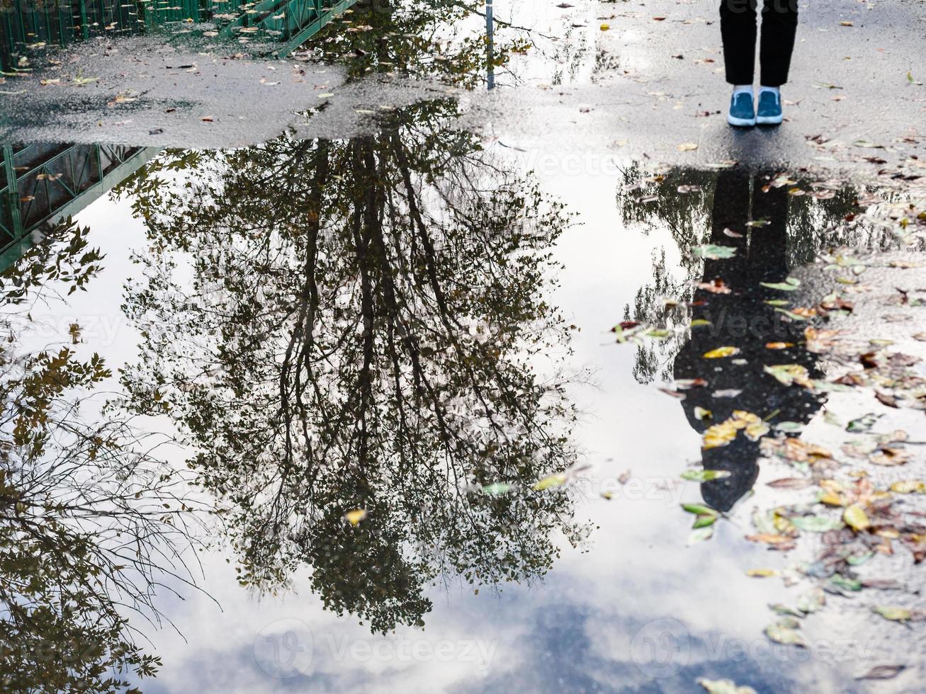 Teenager in der Nähe von Regenpfütze mit Baumreflexion foto