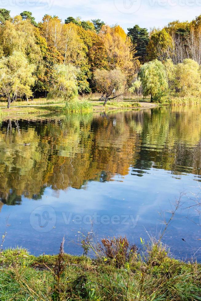 bunte Ufer des Teiches im Stadtpark im Herbst foto
