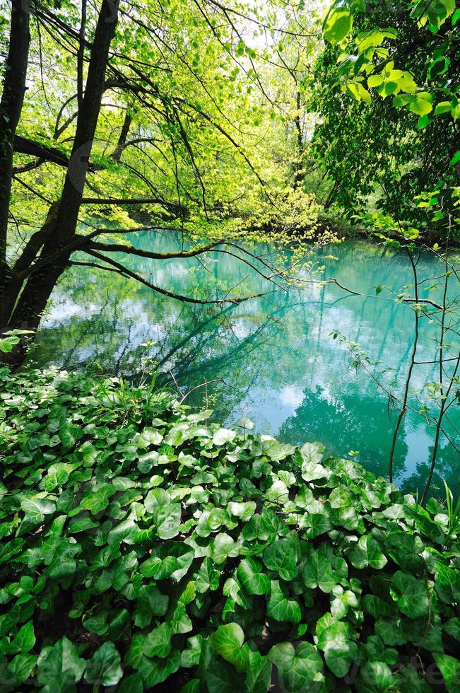 Fluss Wasserfall wild foto