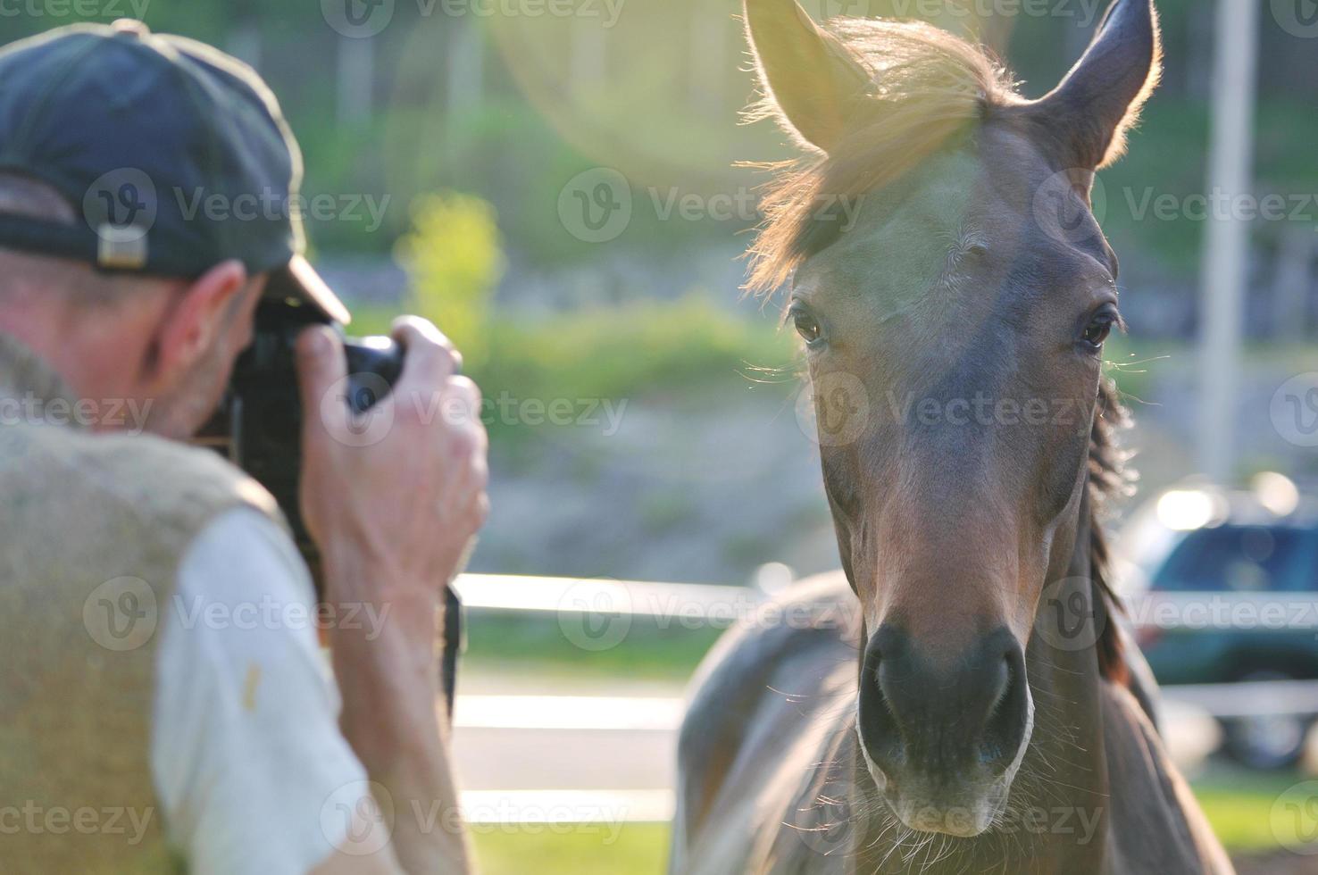 Fotograf und Pferd foto