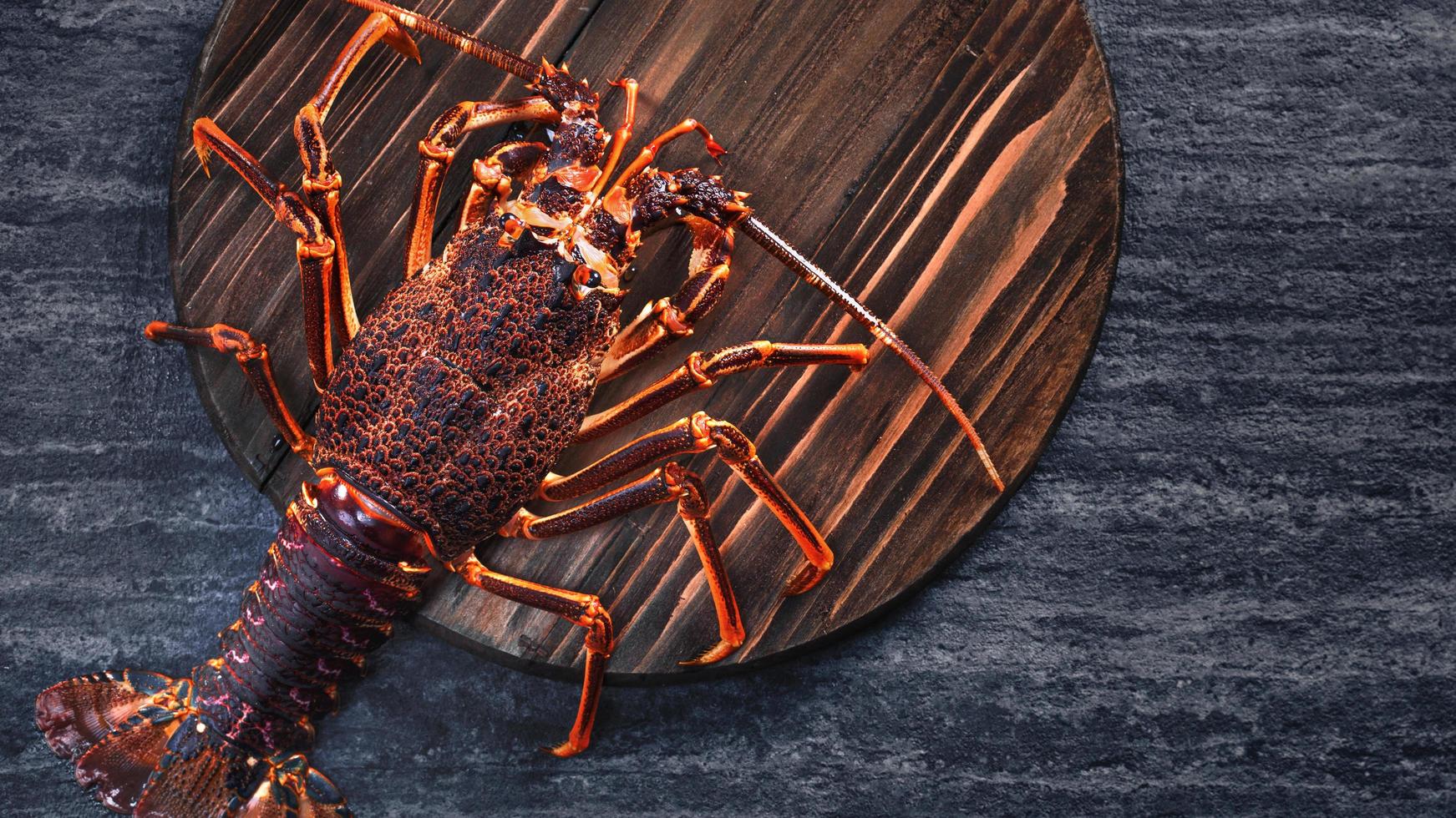 roher frischer kapfelsenhummer, westküstenfelsenhummer, jasus lalandii auf dunklem schieferhintergrund mit kalten eiswürfeln, draufsicht, flache lage, überkopfaufnahme. foto