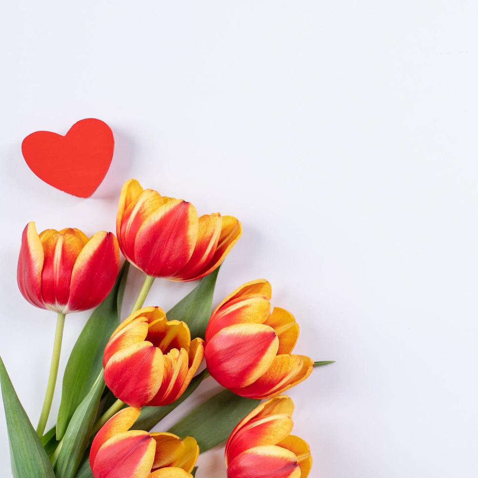 muttertag, valentinstaghintergrund, tulpenblumenstrauß - schöner roter, gelber blumenstrauß lokalisiert auf weißem tisch, draufsicht, flache lage, mock-up-designkonzept. foto