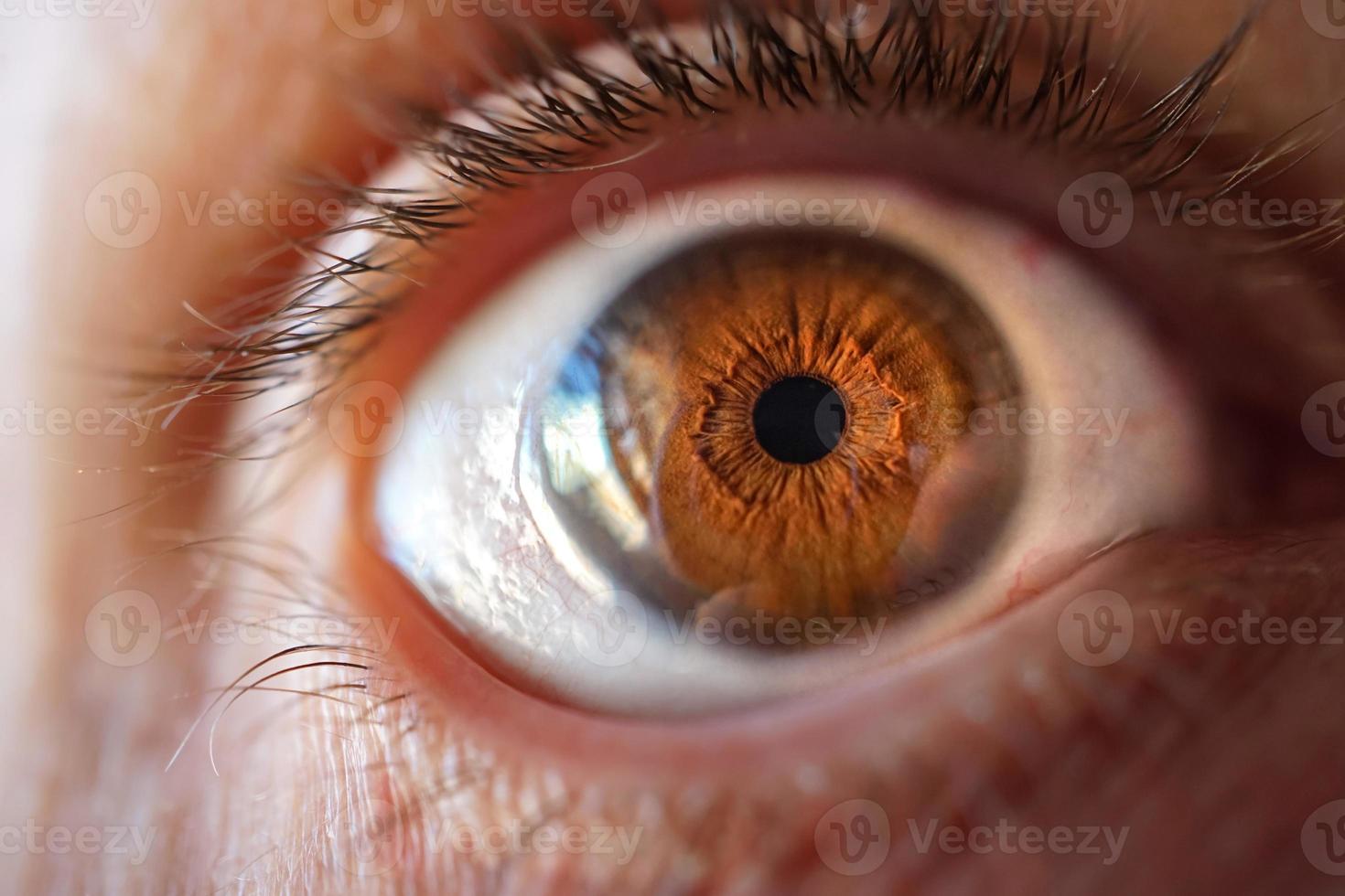 Mann braunes Auge Makrofotografie foto