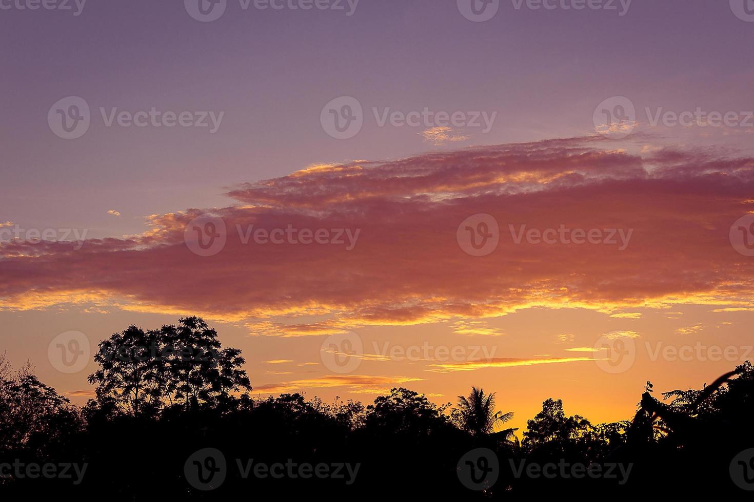 Silhouettenbaum bei Sonnenuntergang foto