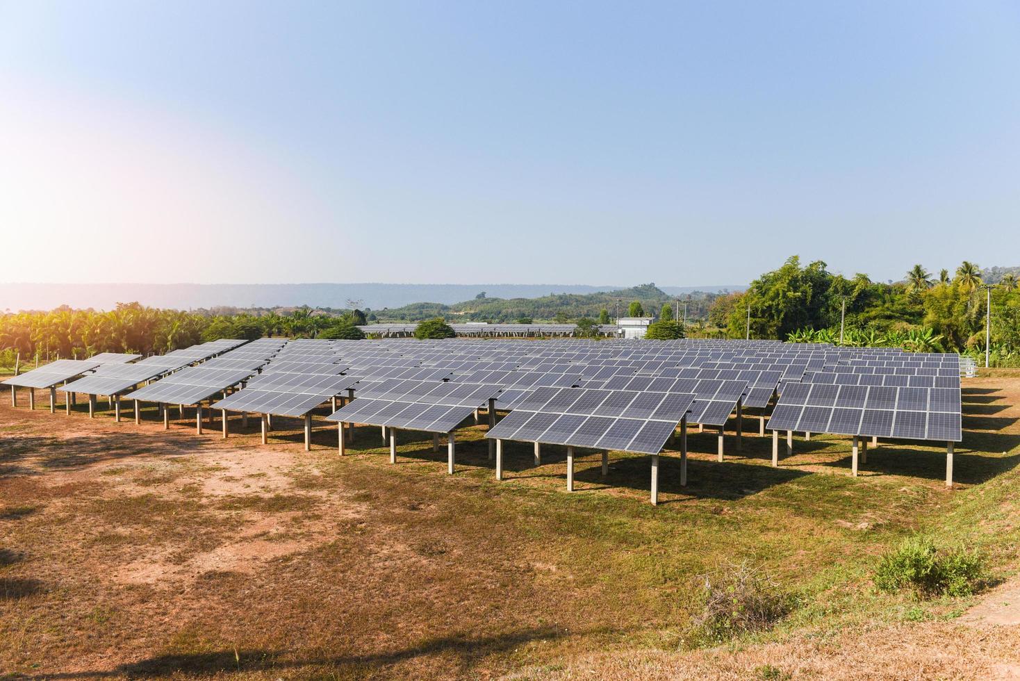 Sonnenkollektoren im Solarpark mit grünem Baum und Sonnenlicht reflektieren - Solarzellenenergie oder erneuerbares Energiekonzept foto