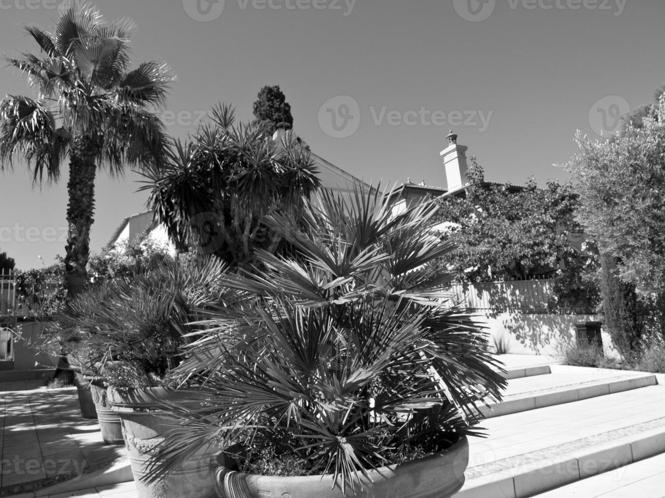 Sanary-sur-Mer in Frankreich foto