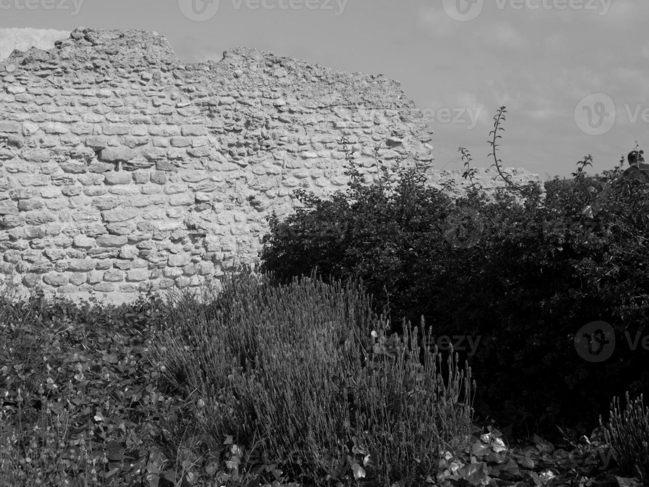 die Stadt Tunis foto